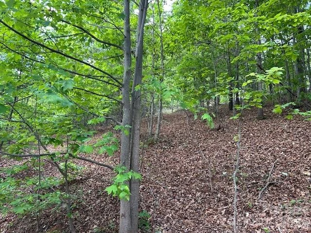 0 Azule Ridge - Photo 6