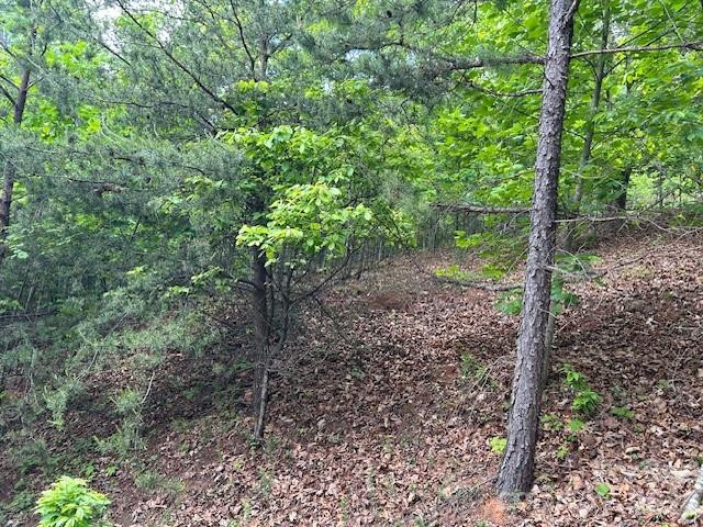 0 Azule Ridge - Photo 7