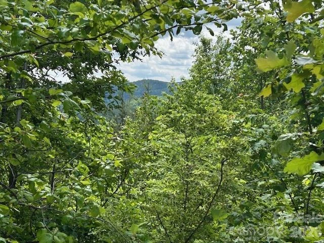 0 Azule Ridge - Photo 9