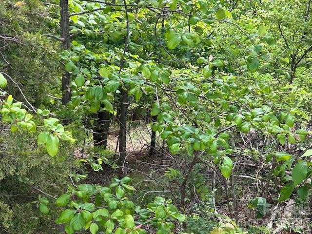 0 Azule Ridge - Photo 10