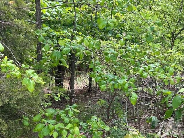 0 Azule Ridge - Photo 10