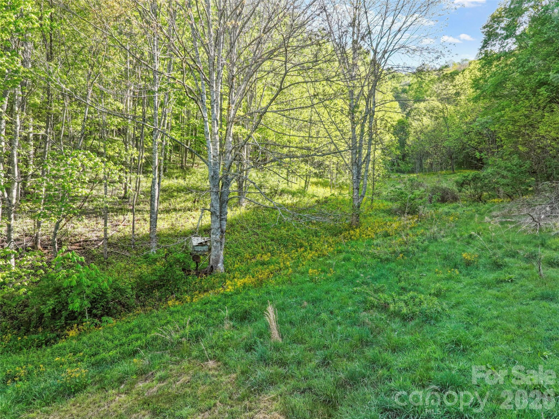 3454 Puncheon Fork Road - Photo 14