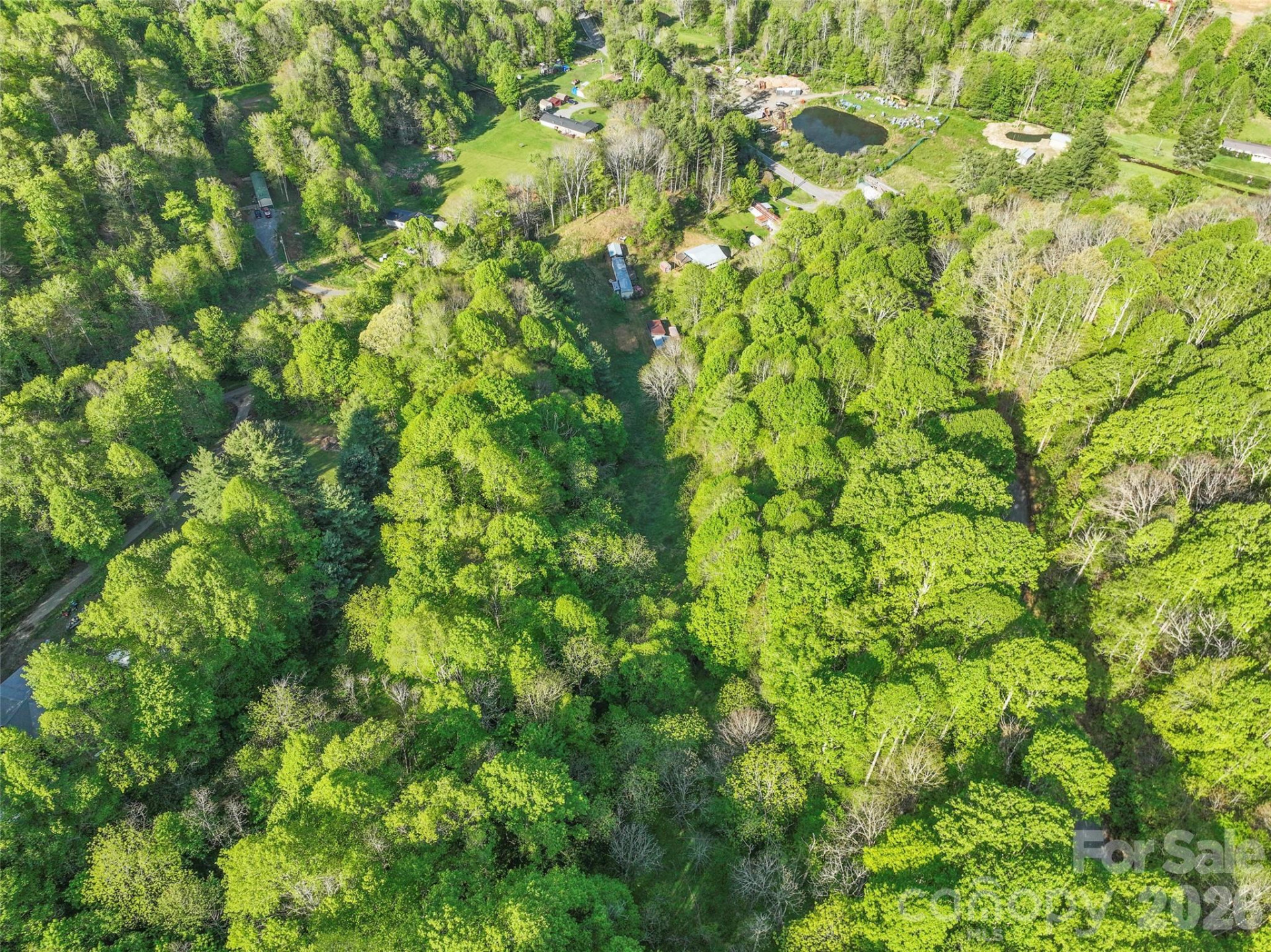 3454 Puncheon Fork Road - Photo 16