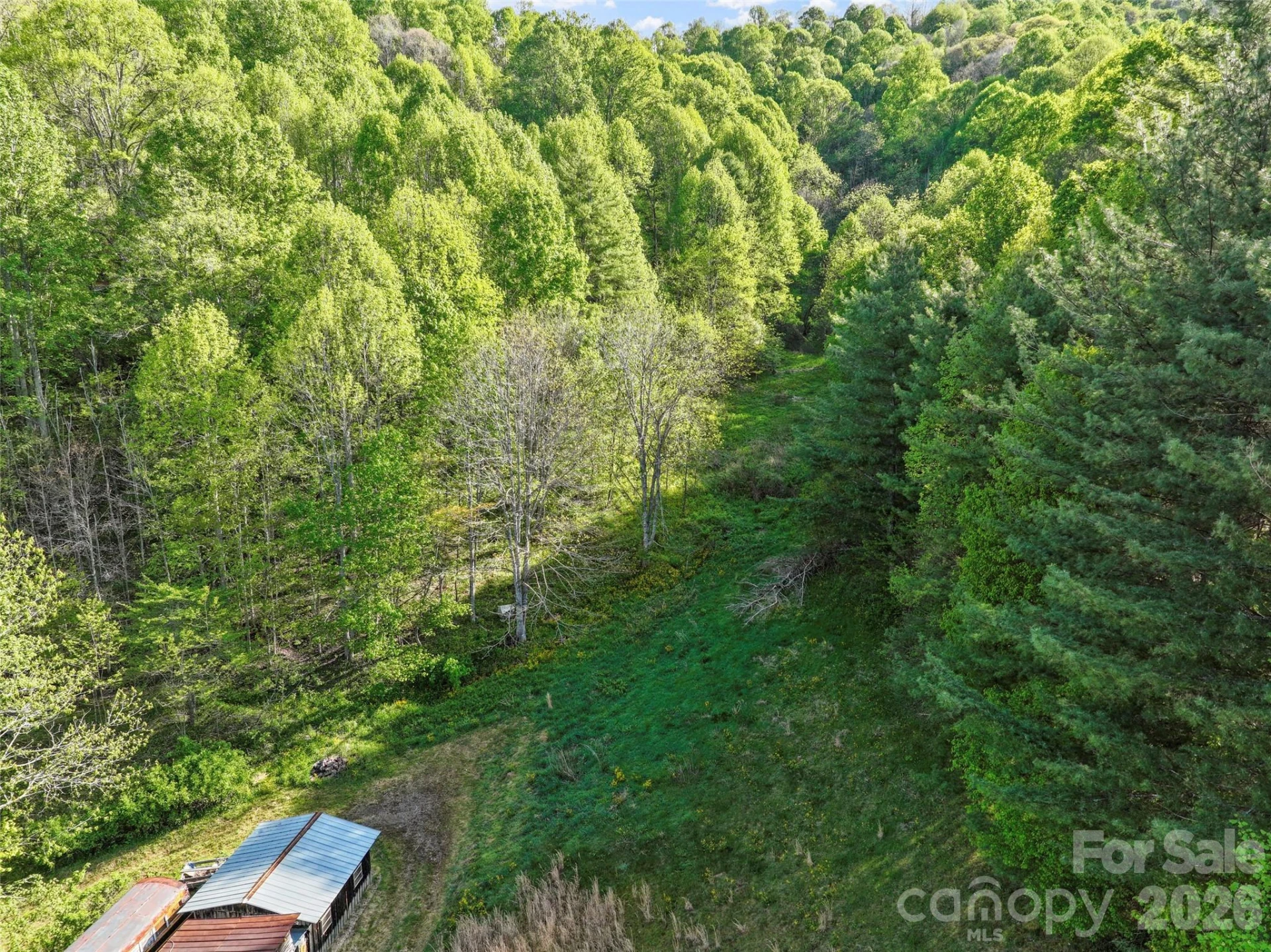 3454 Puncheon Fork Road - Photo 17