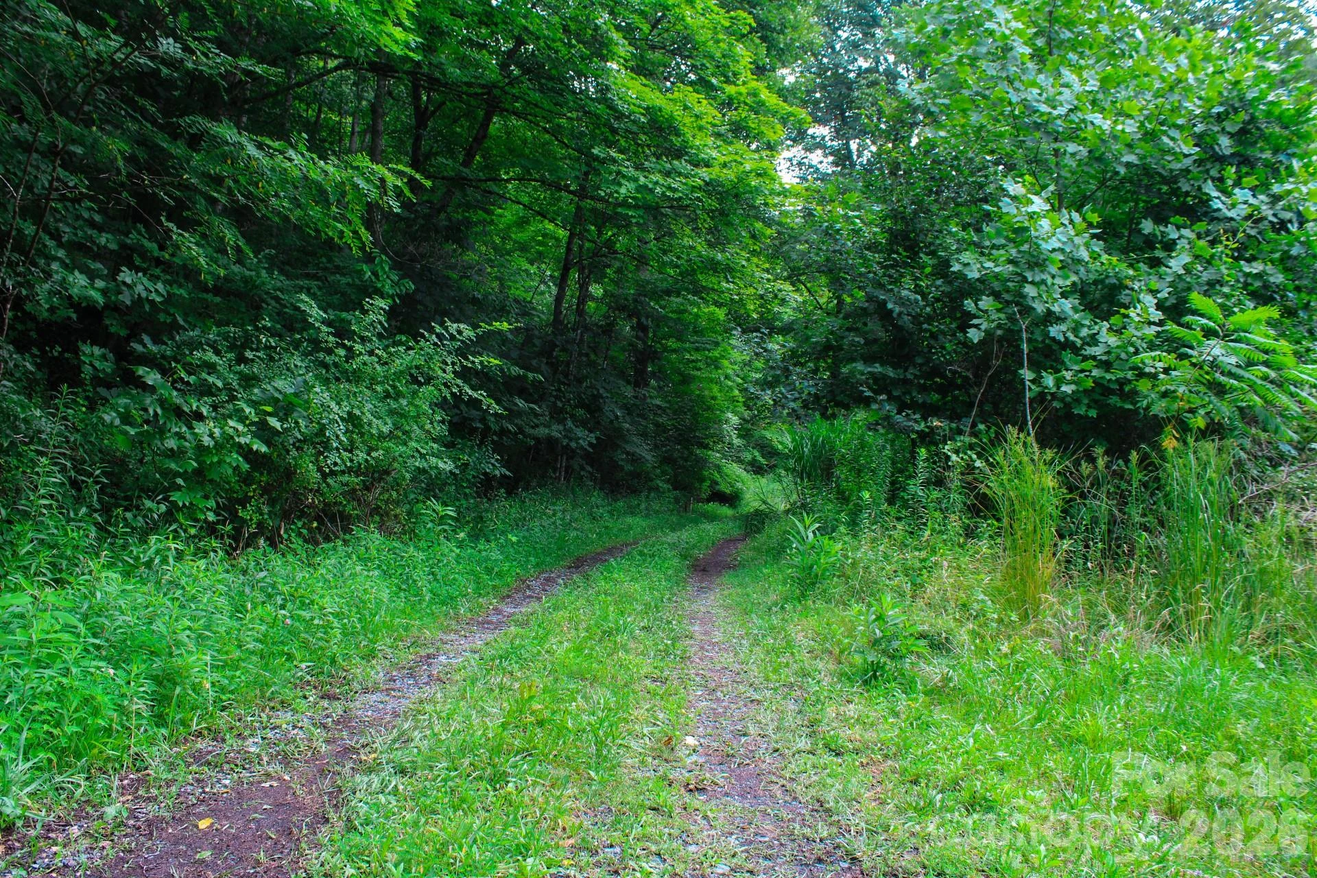 3454 Puncheon Fork Road - Photo 22