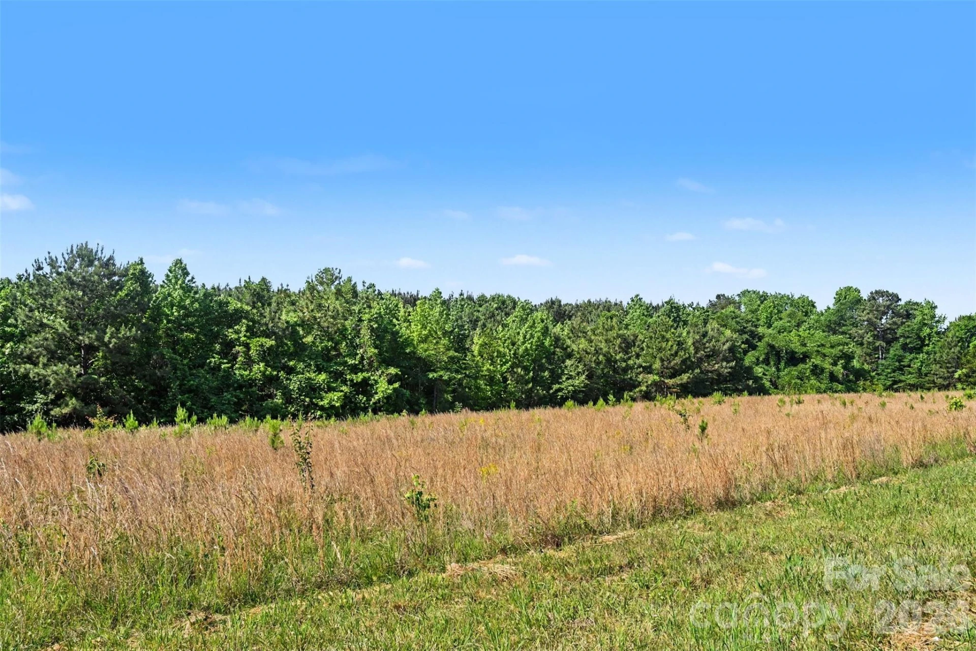 1013 Caldwell Street - Photo 25