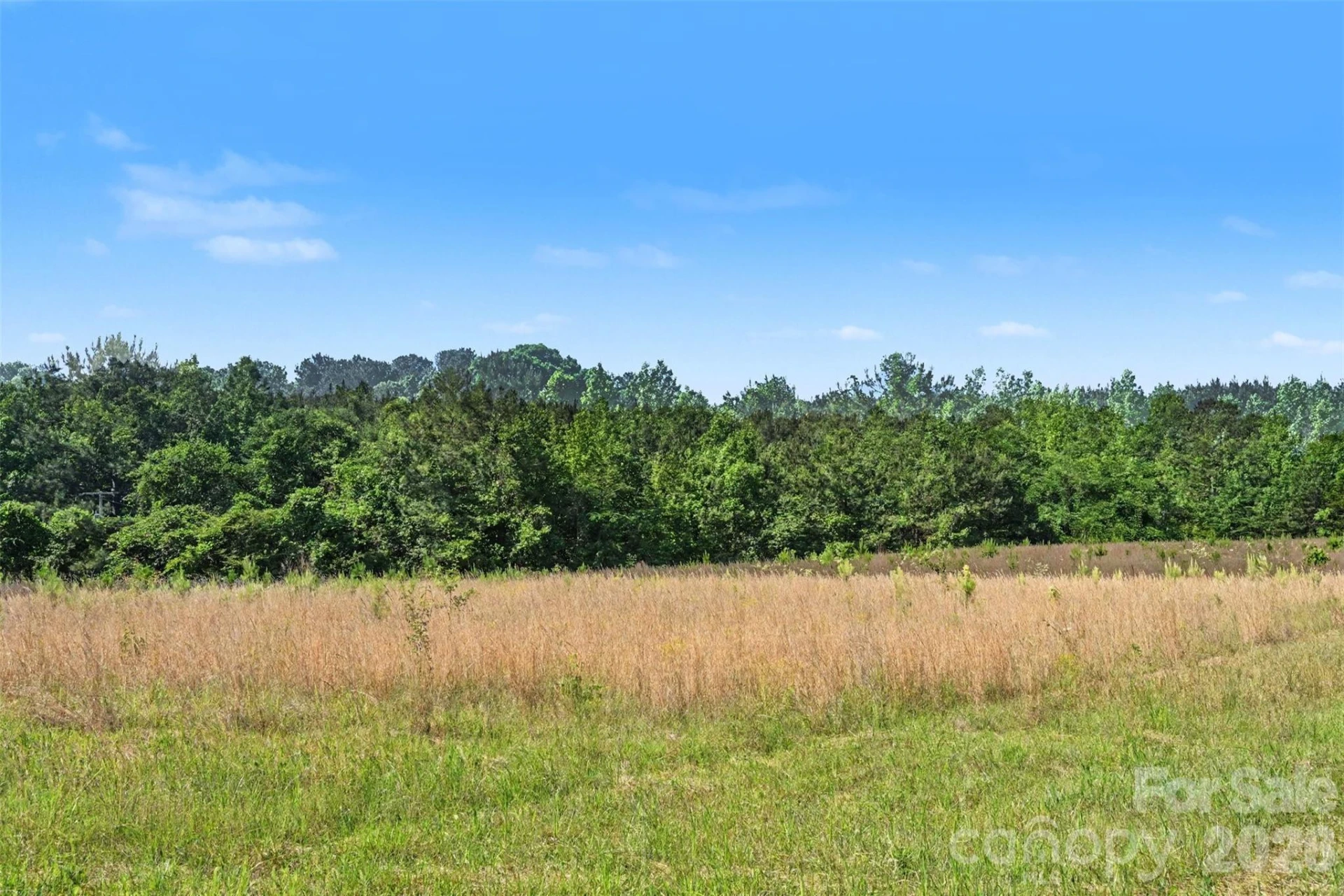 1013 Caldwell Street - Photo 27