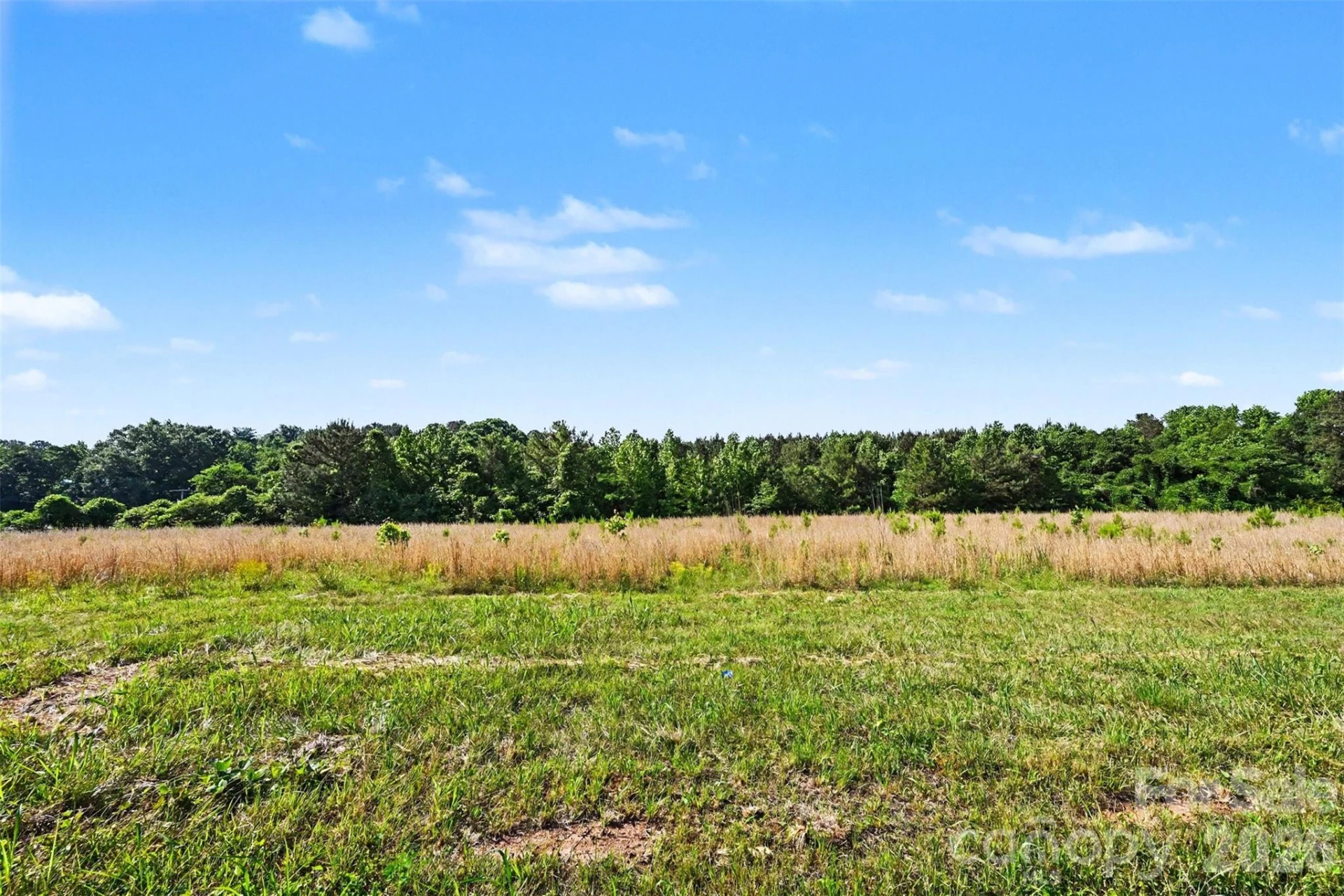 1013 Caldwell Street - Photo 32