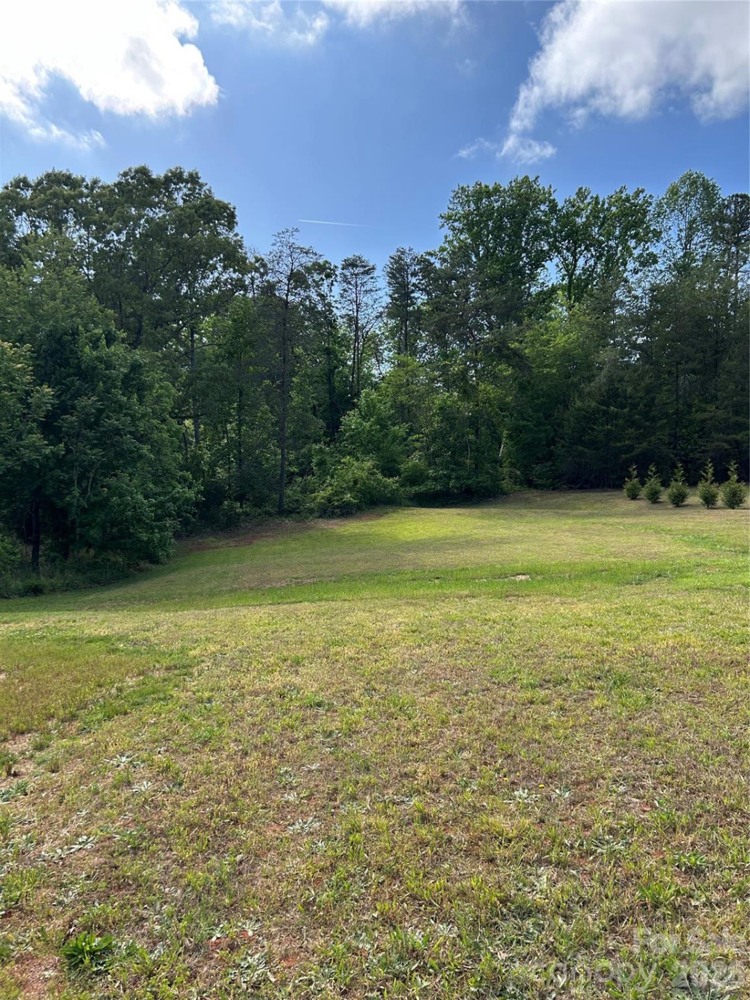 118 Perennial Gardens Lane - Photo 3