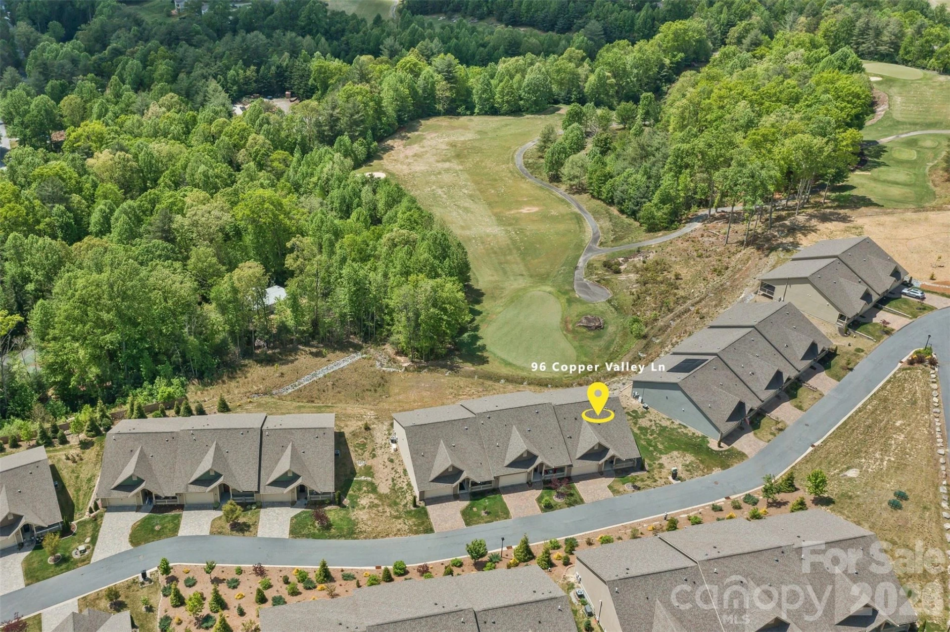 96 Copper Valley Lane - Photo 4