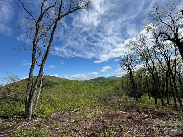TBD Garden Trail, Hendersonville, NC, 28792