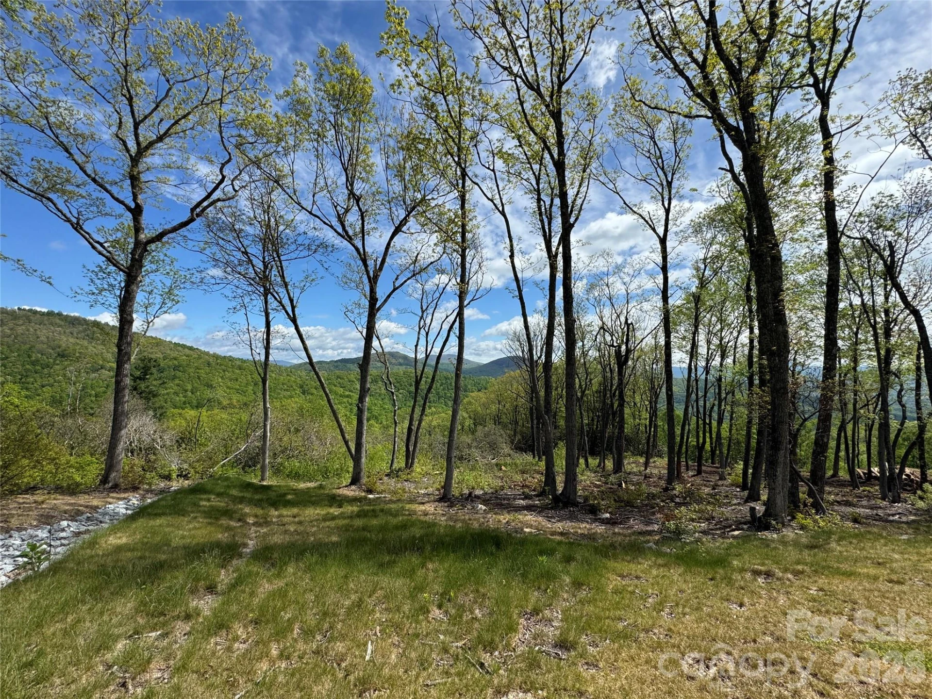 TBD Garden Trail #45 - Photo 6