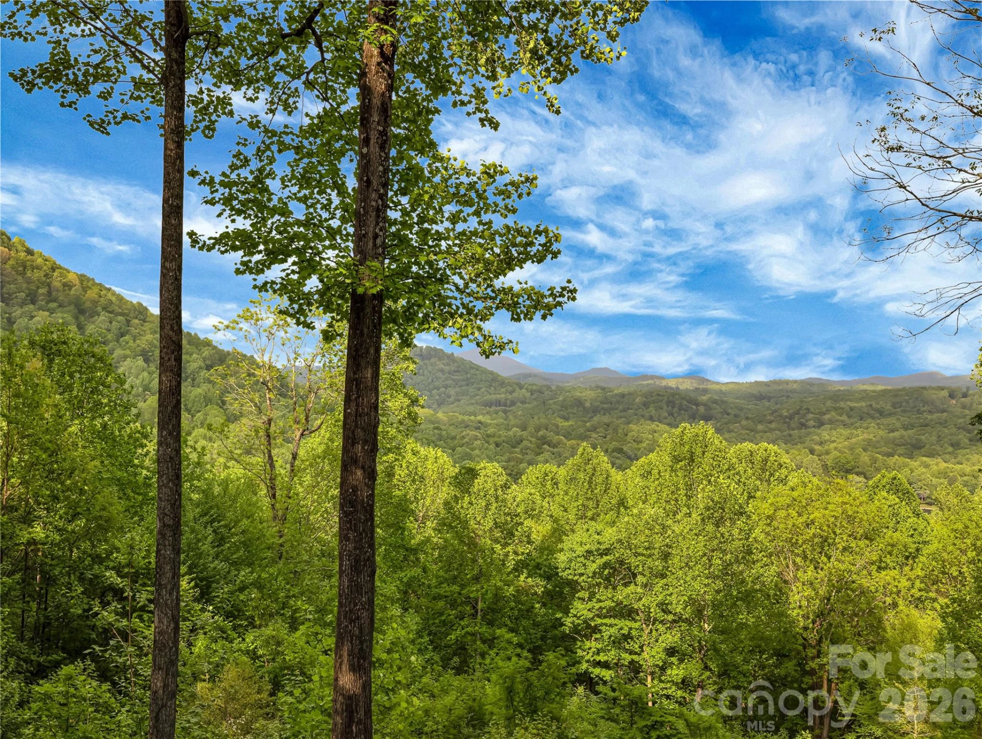 586 Tanglewood Lane - Photo 21