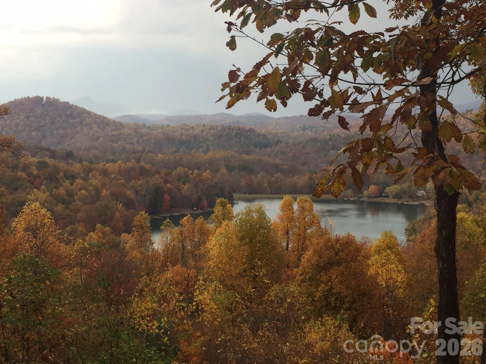 586 Tanglewood Lane - Photo 22