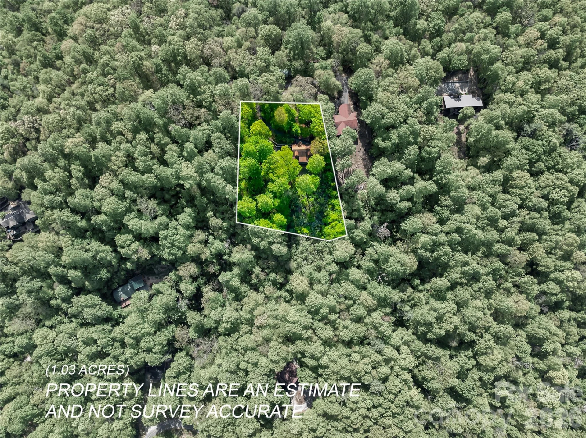 586 Tanglewood Lane - Photo 41