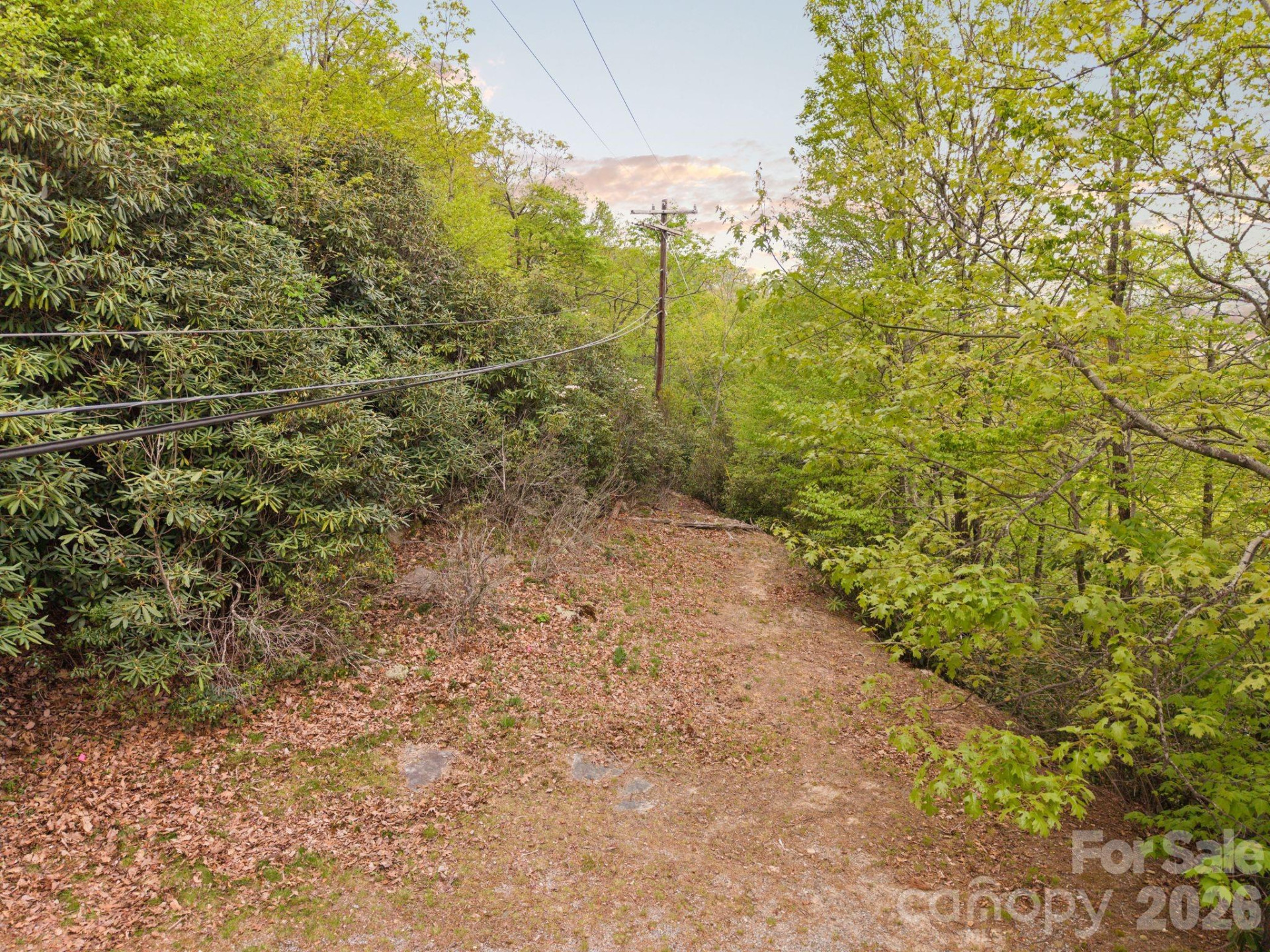 TBD Pinnacle Mountain Road - Photo 7