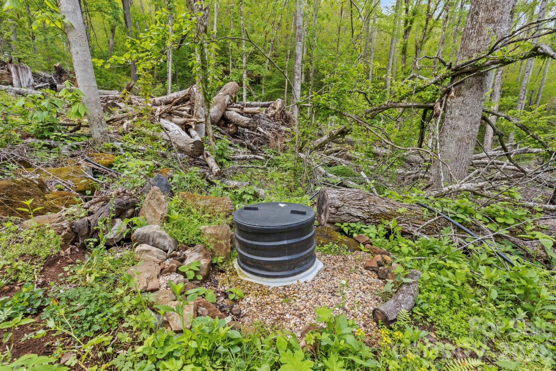 1108 Pine Root Branch Road - Photo 42