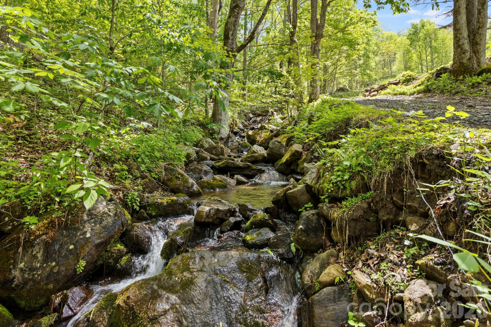 1108 Pine Root Branch Road - Photo 43