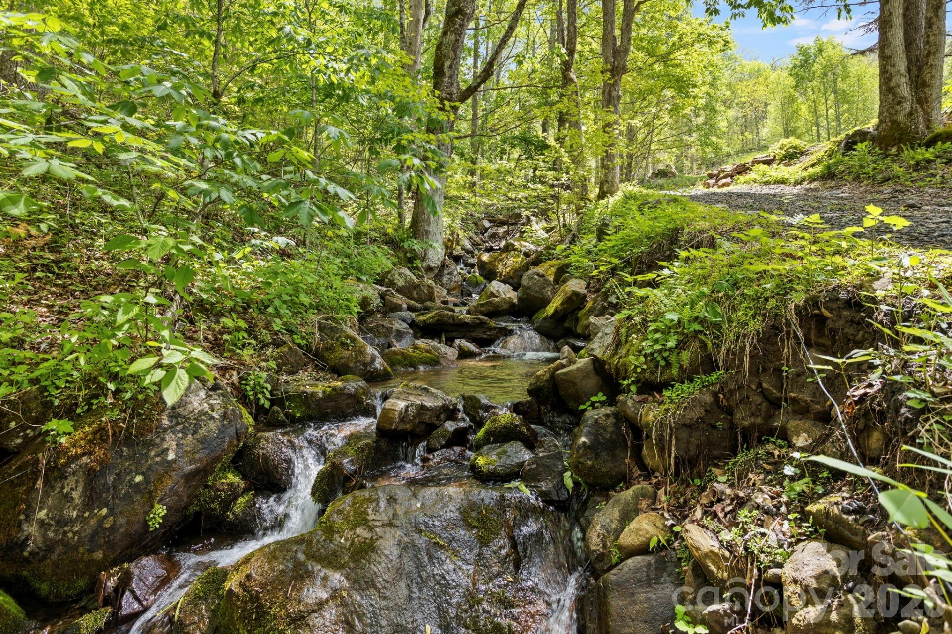 1108 Pine Root Branch Road - Photo 43