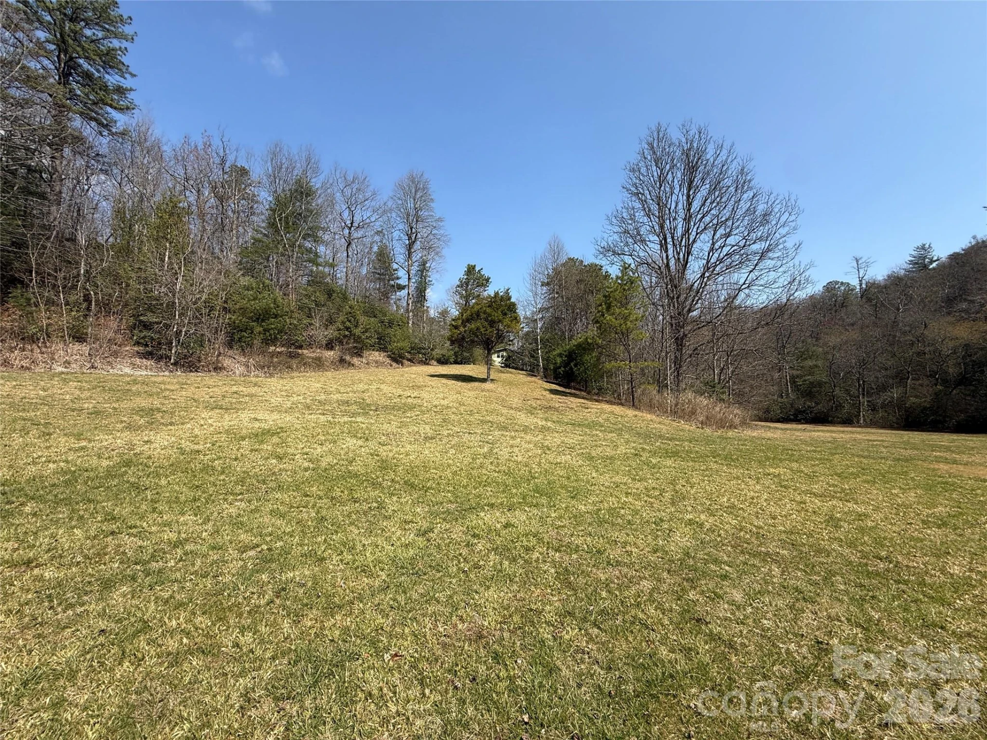 128 Morgan Mountain Road - Photo 2