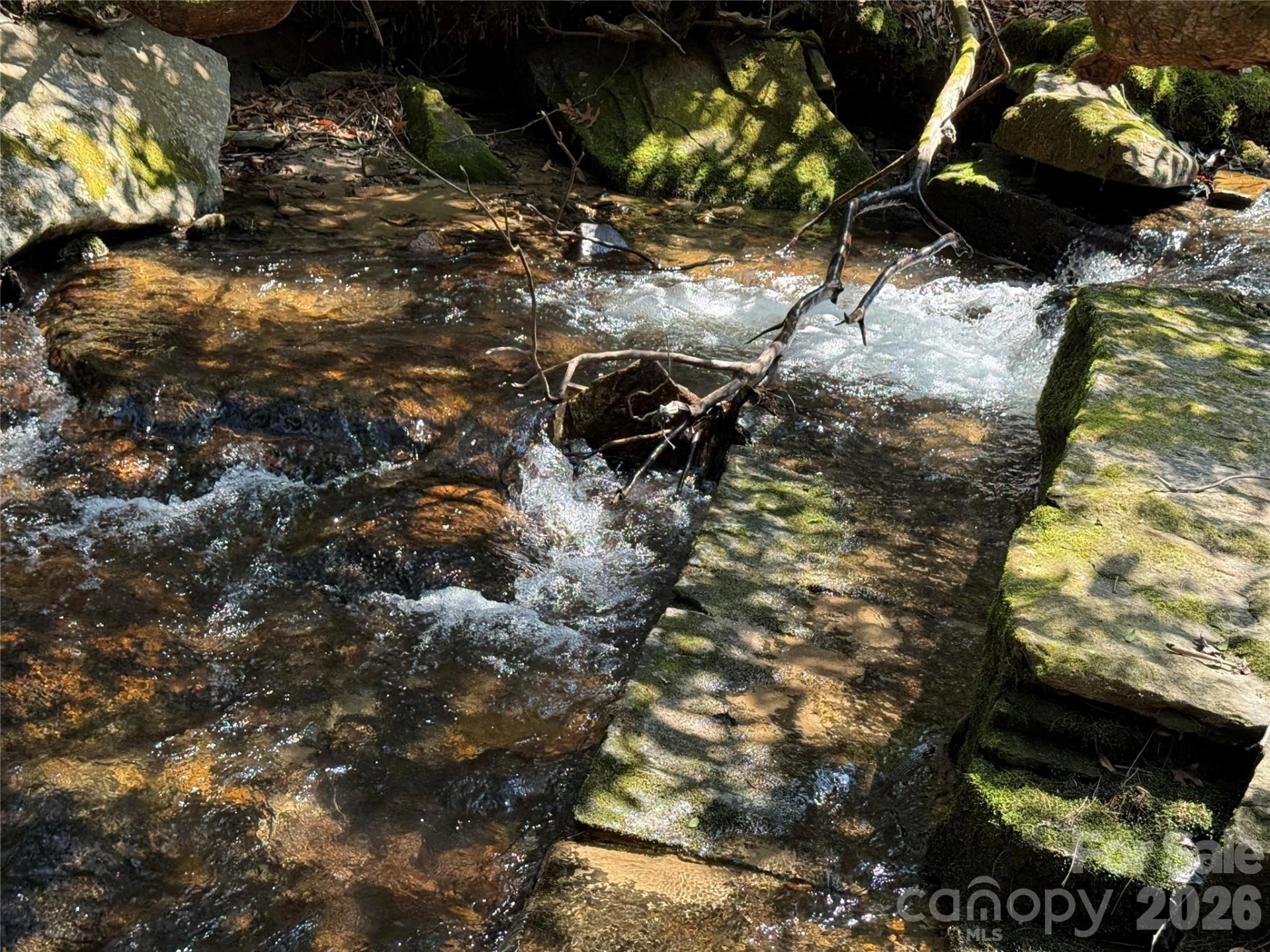128 Morgan Mountain Road - Photo 12