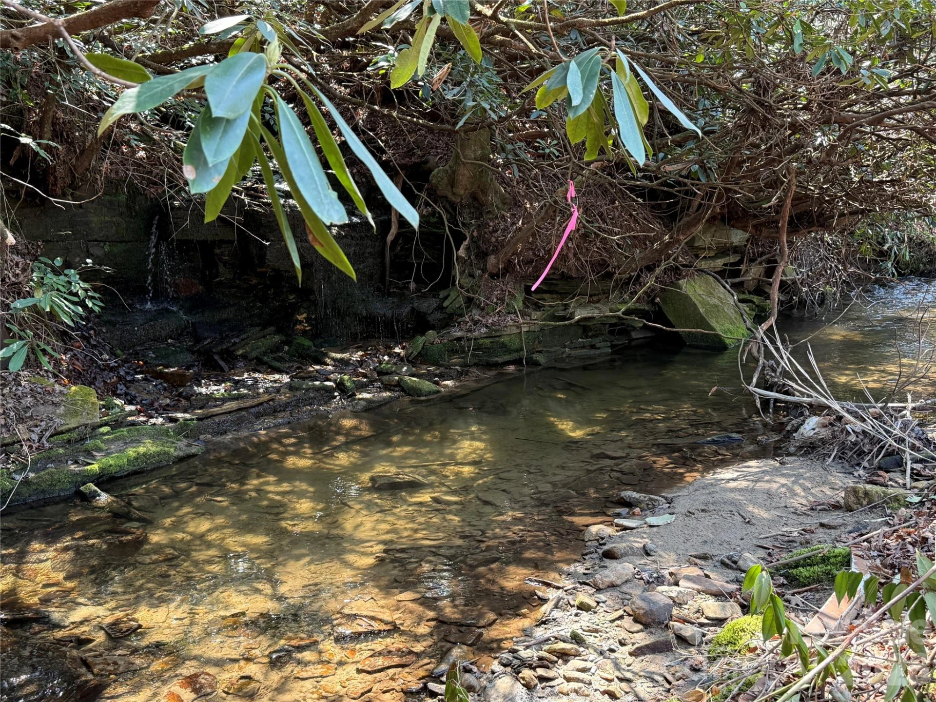 128 Morgan Mountain Road - Photo 13