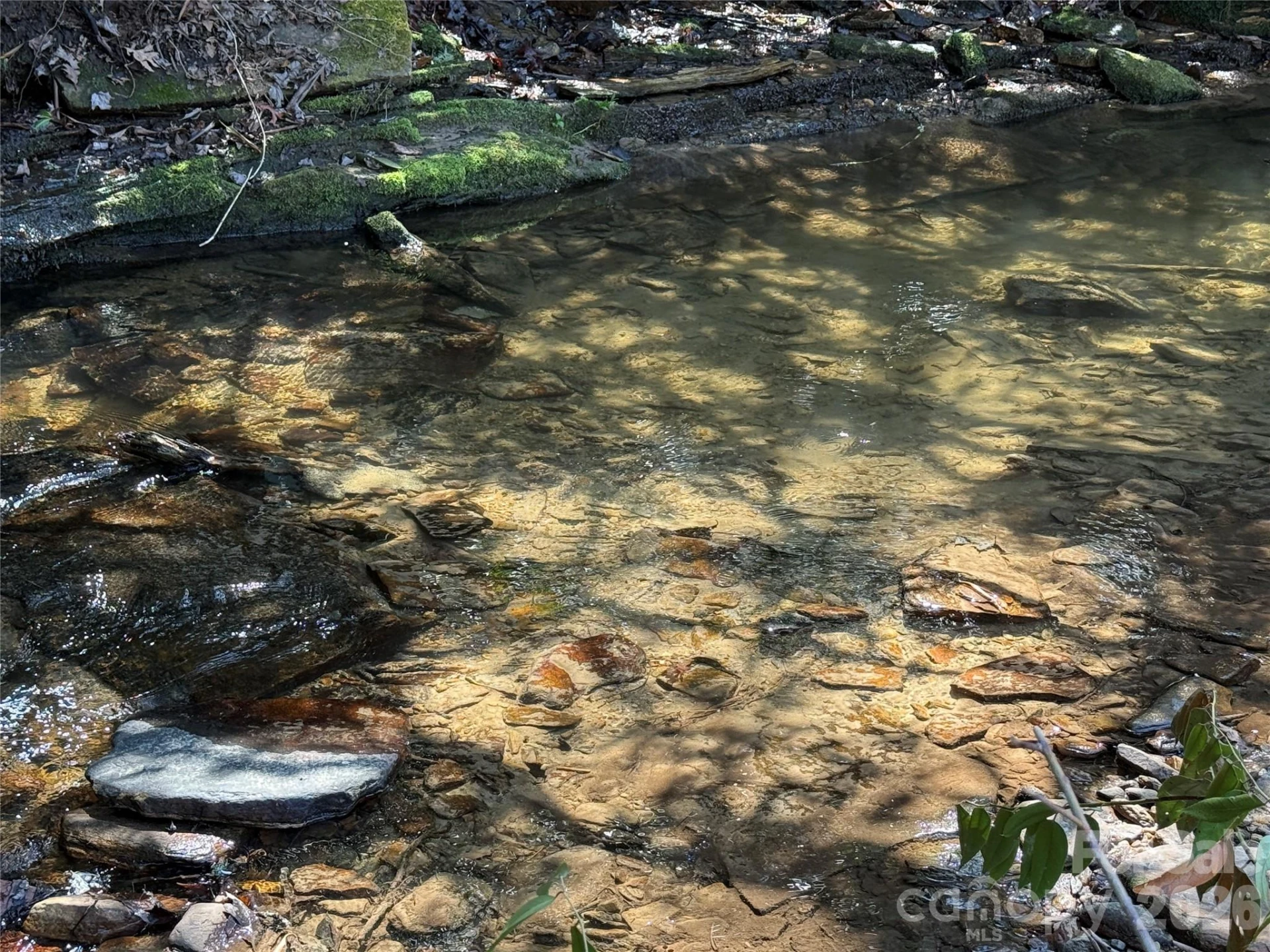 128 Morgan Mountain Road - Photo 14