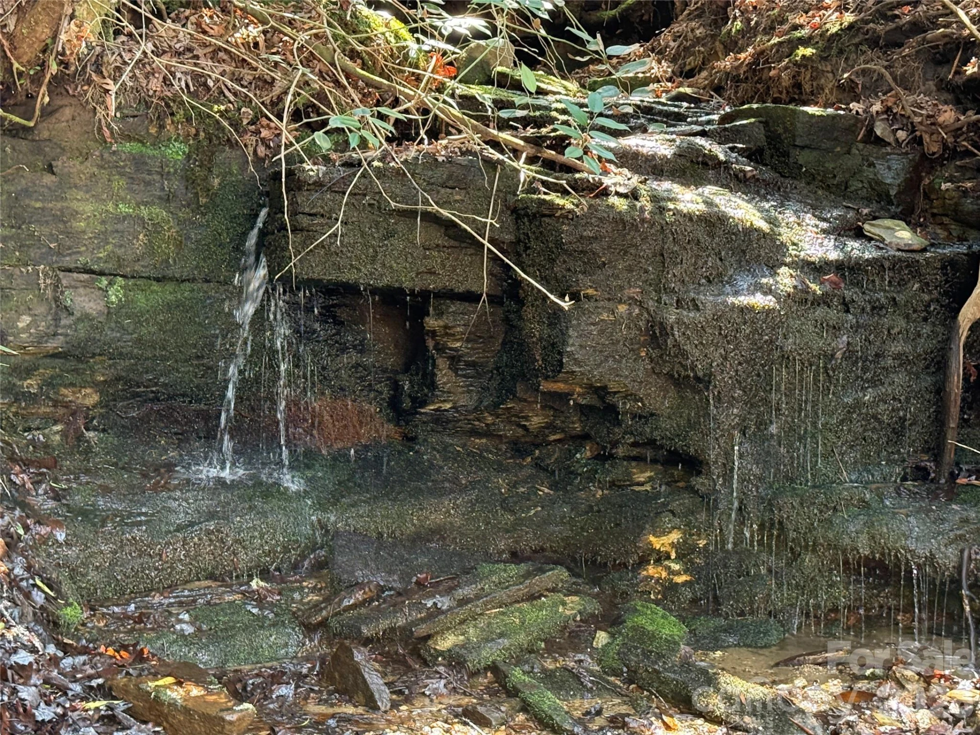 128 Morgan Mountain Road - Photo 15