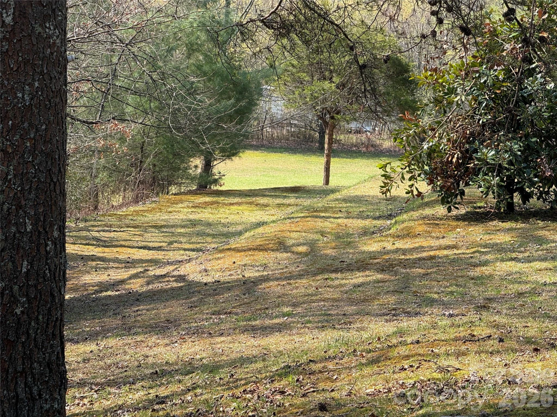 128 Morgan Mountain Road - Photo 16