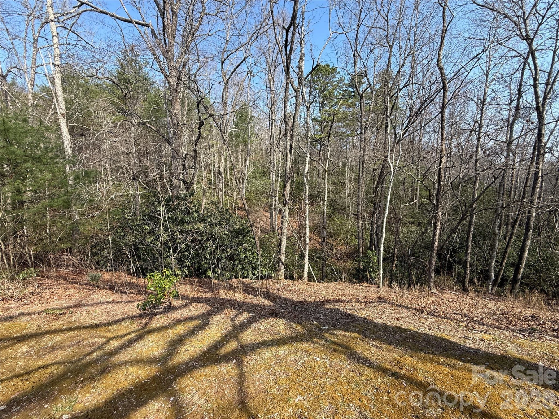 128 Morgan Mountain Road - Photo 20