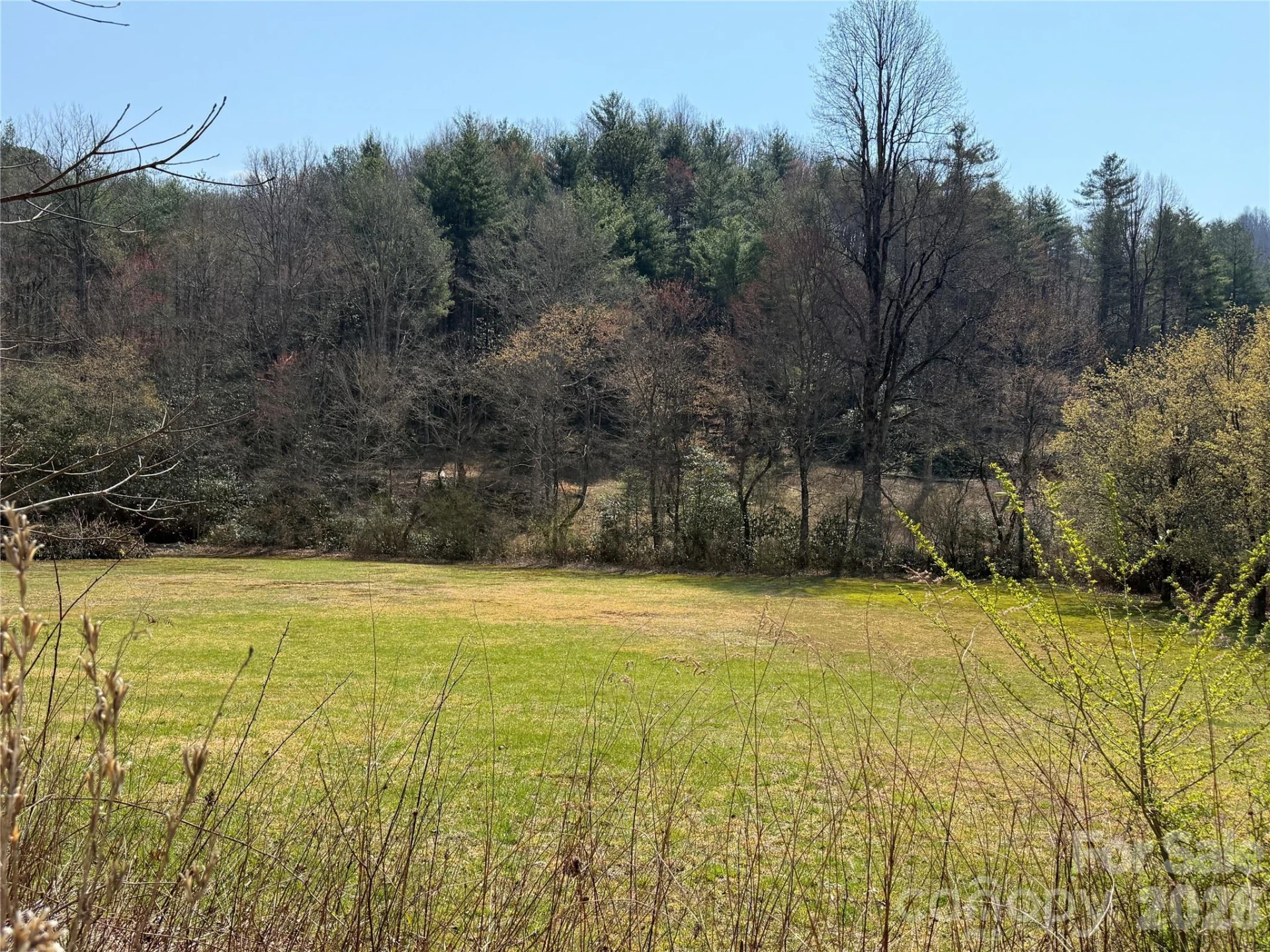 128 Morgan Mountain Road - Photo 3