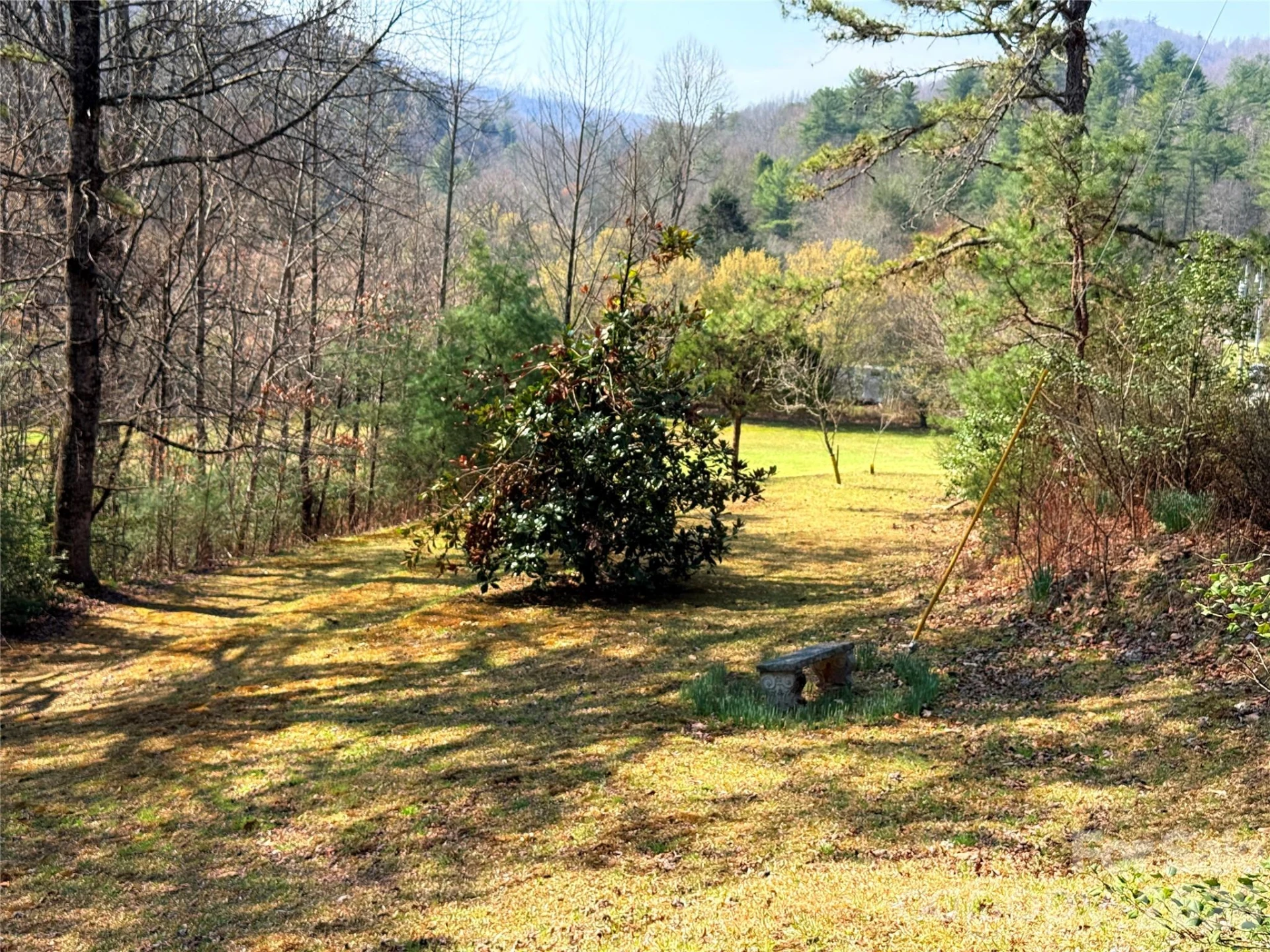 128 Morgan Mountain Road - Photo 4