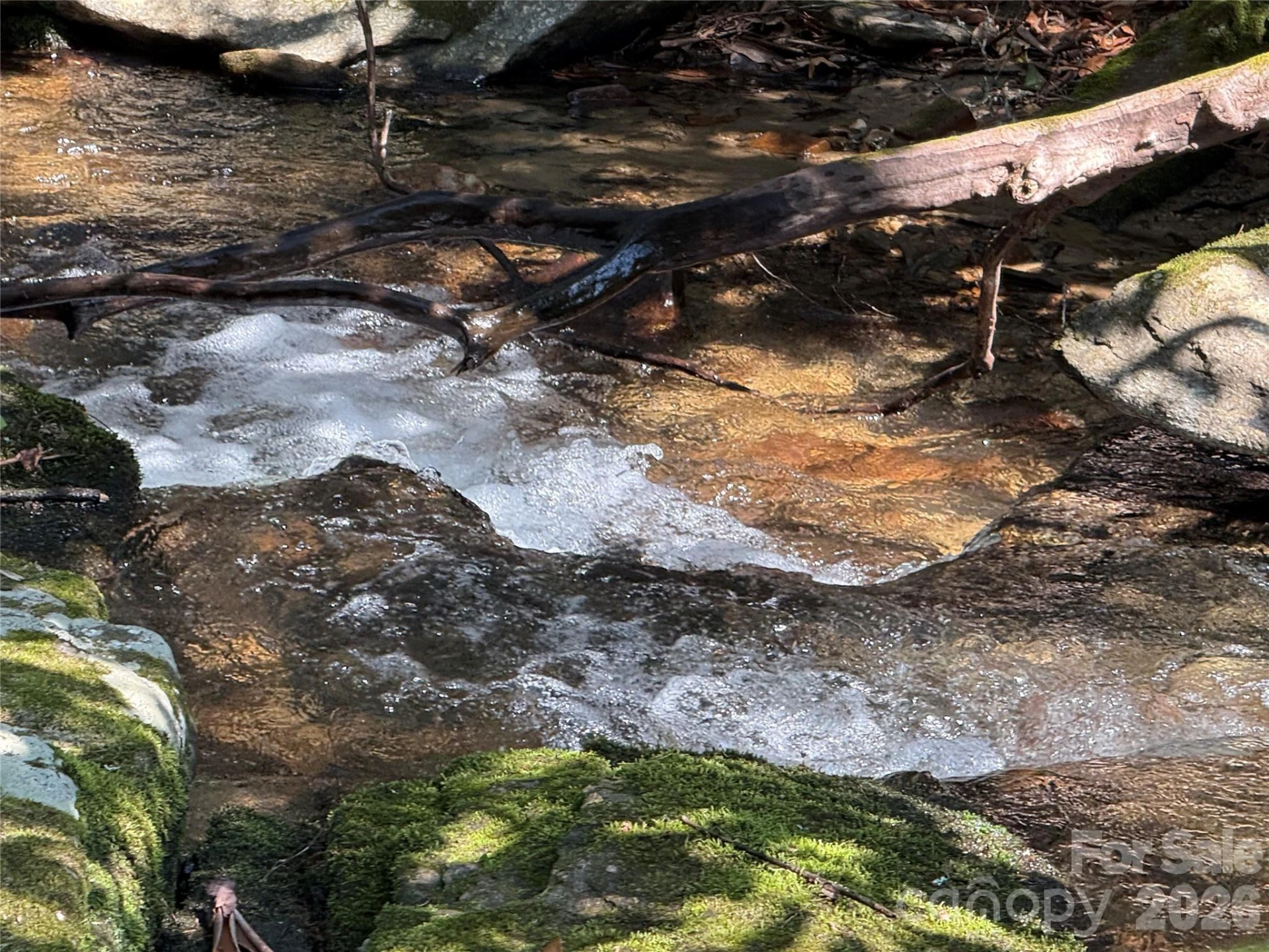 128 Morgan Mountain Road - Photo 8