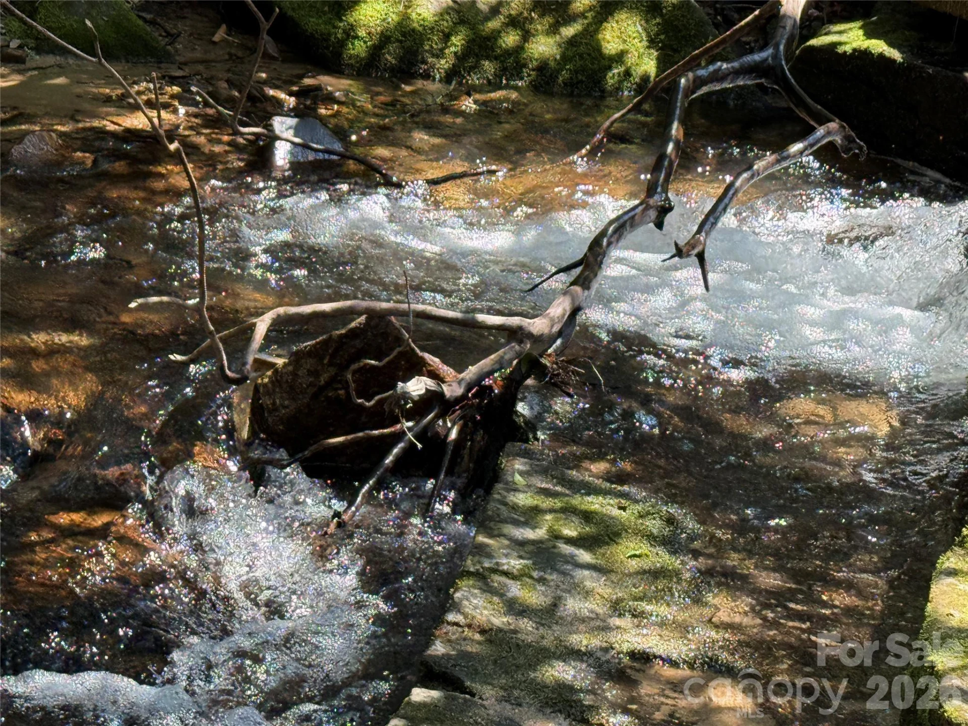 128 Morgan Mountain Road - Photo 9