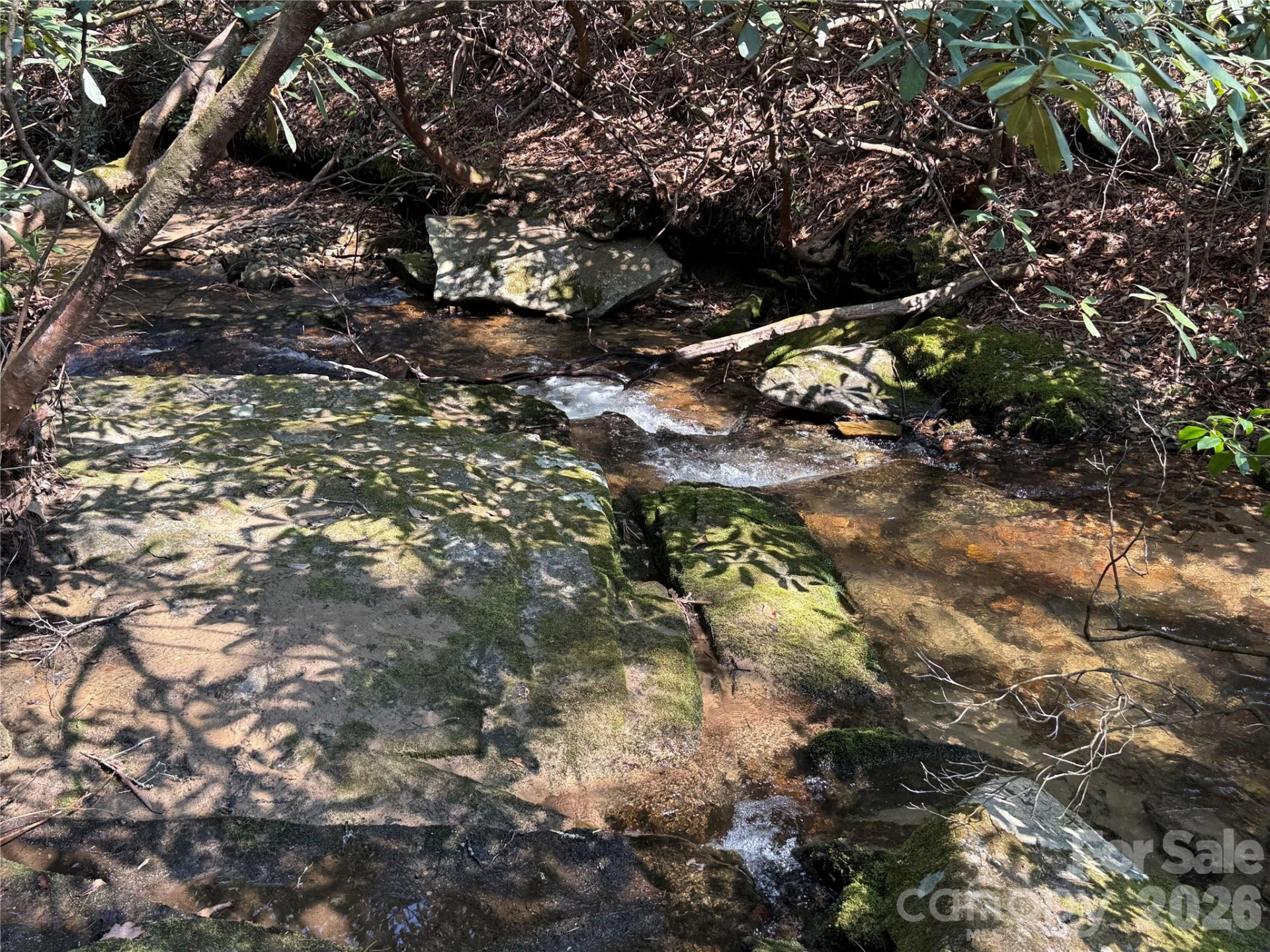 128 Morgan Mountain Road - Photo 10