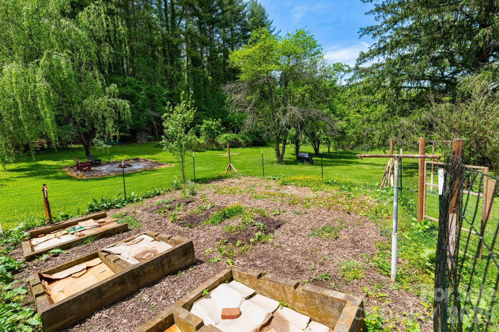 1492 Murray Road - Photo 12