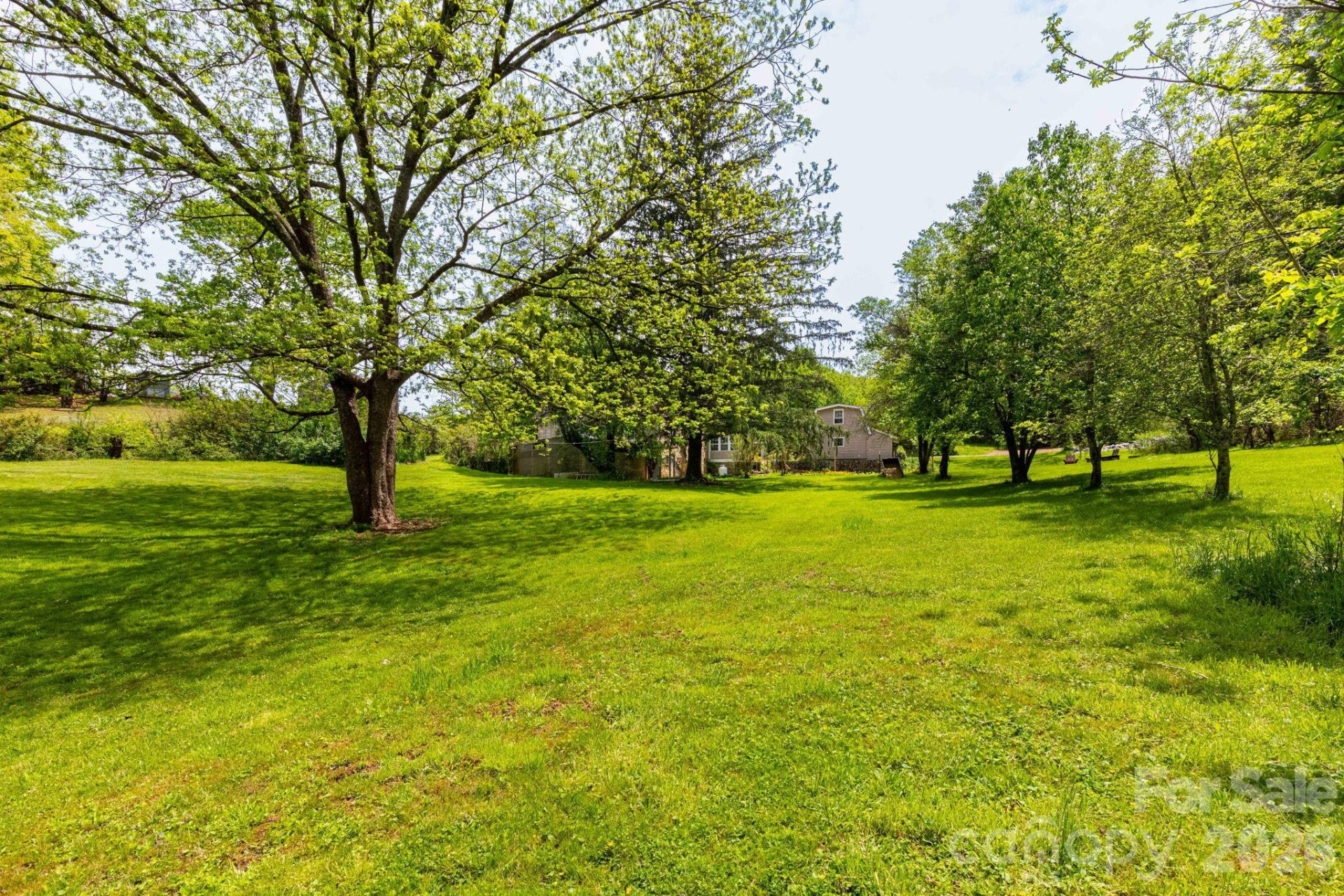 1492 Murray Road - Photo 9
