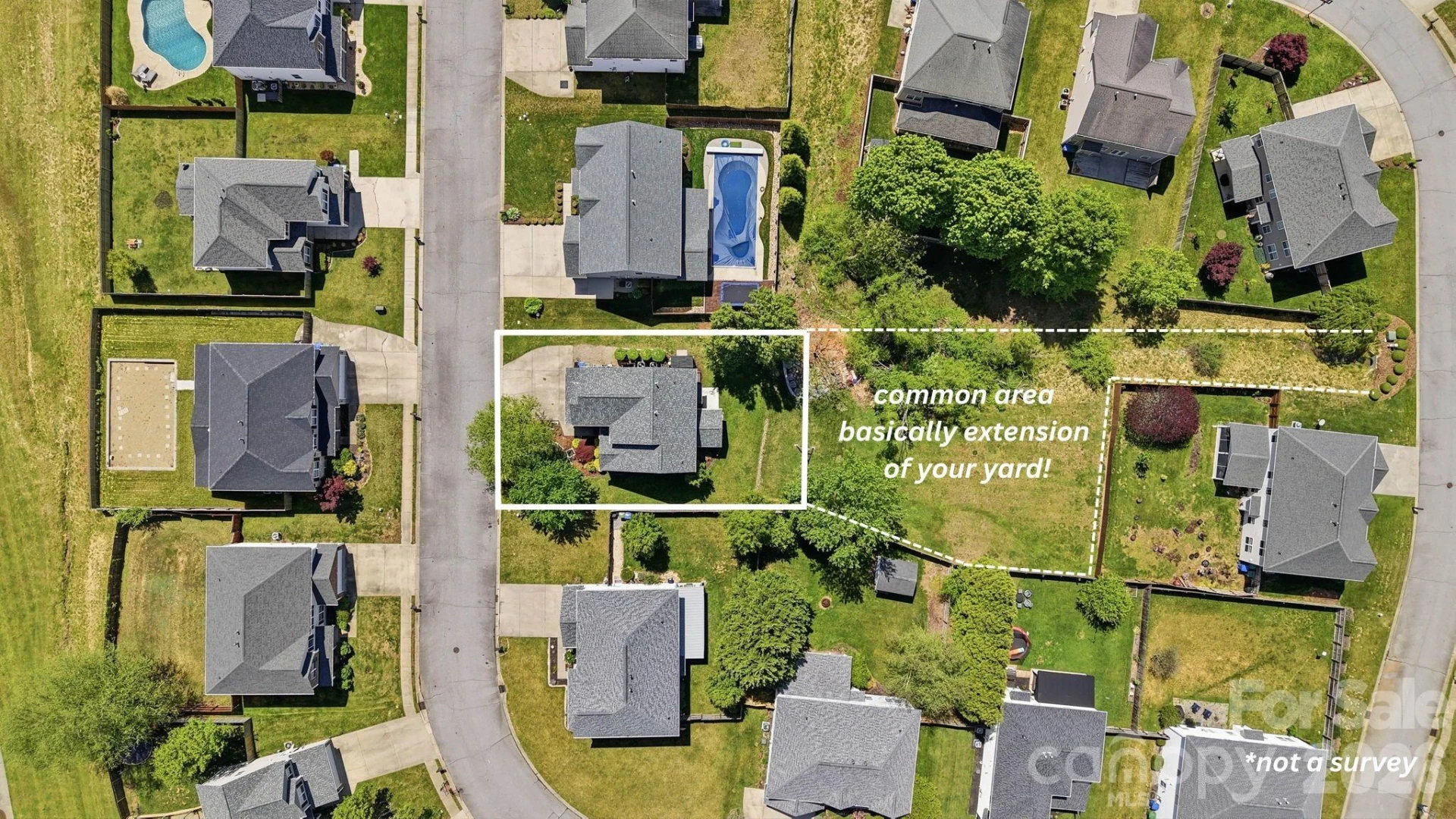 322 Wildbriar Road - Photo 3