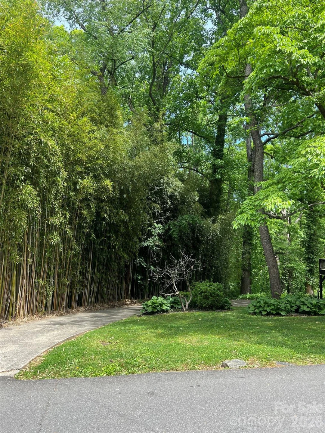 41 Chiles Avenue #Lot 2 - Photo 2