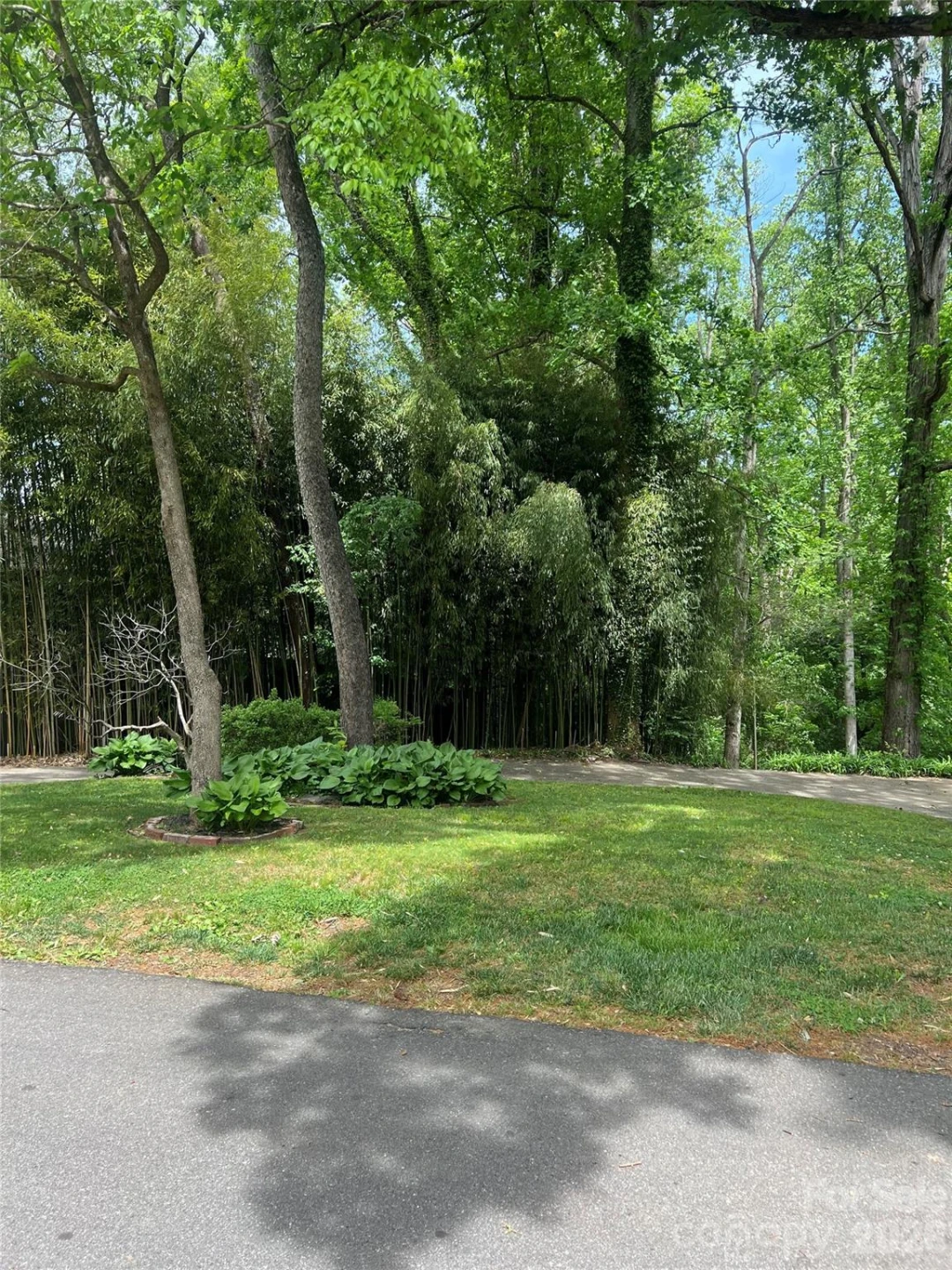 41 Chiles Avenue #Lot 2 - Photo 3