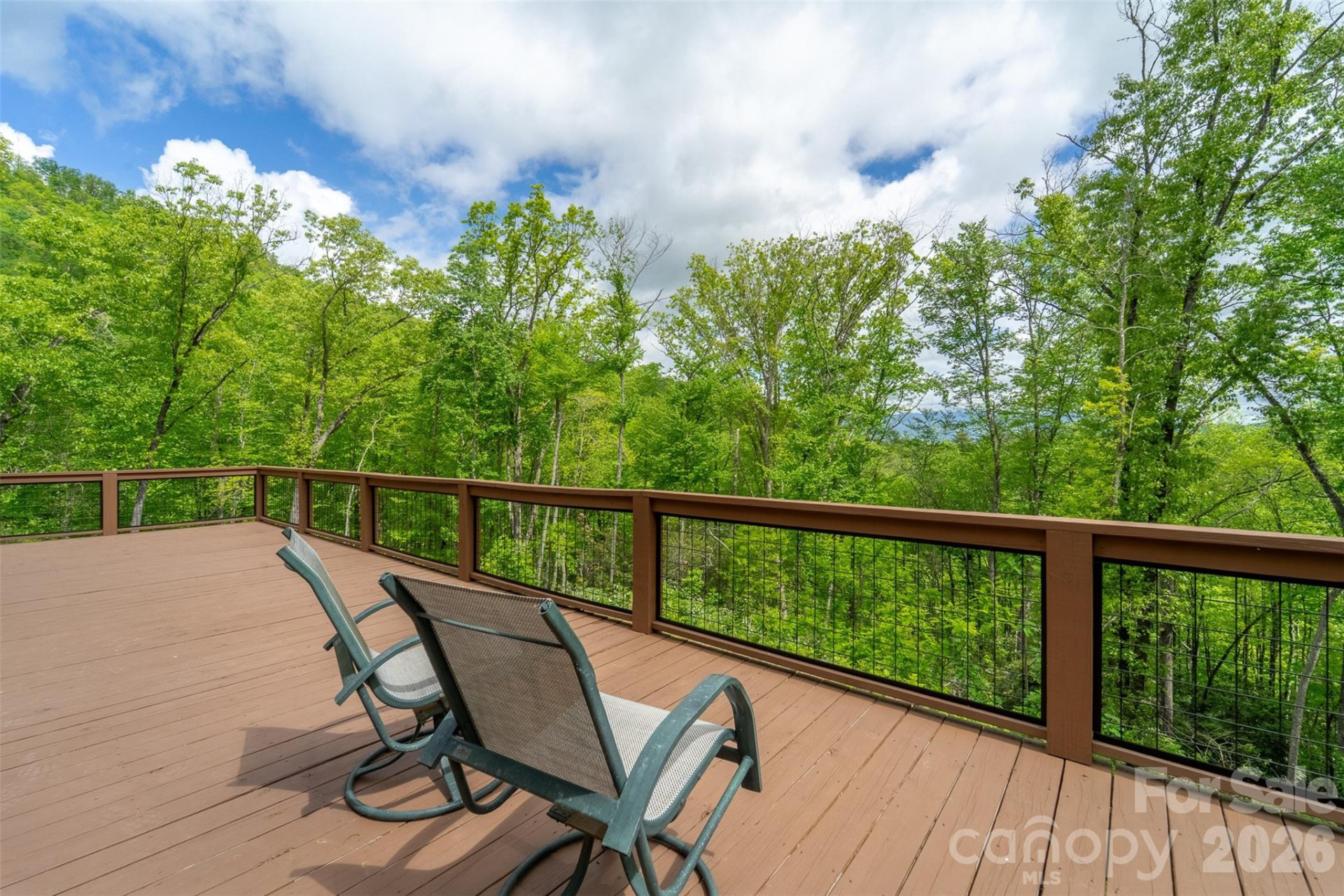 161 Panther Ridge Drive - Photo 34