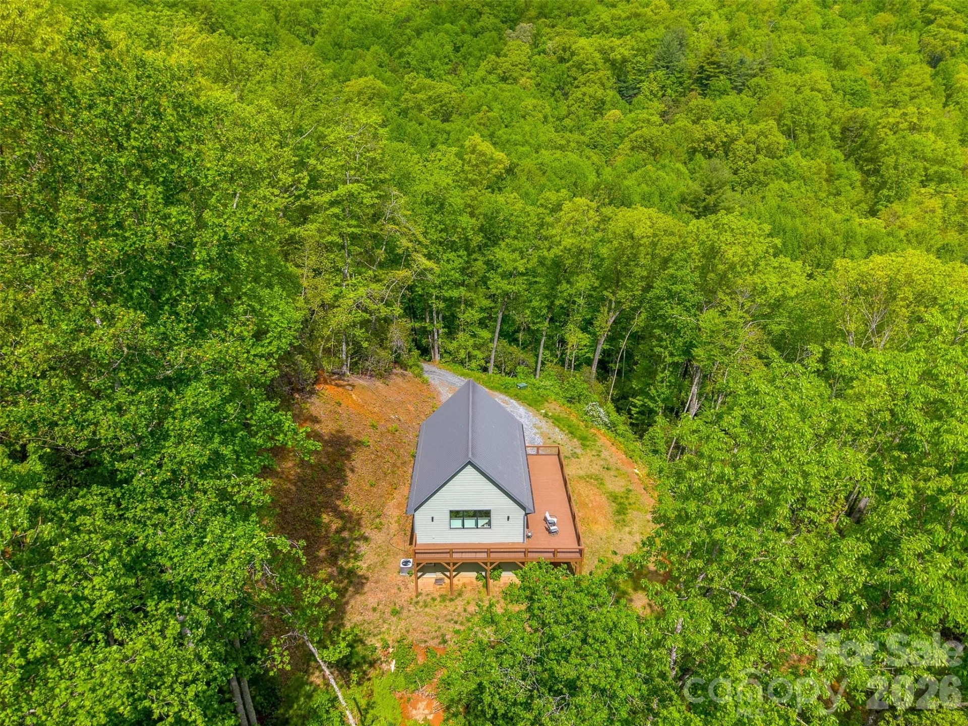 161 Panther Ridge Drive - Photo 46