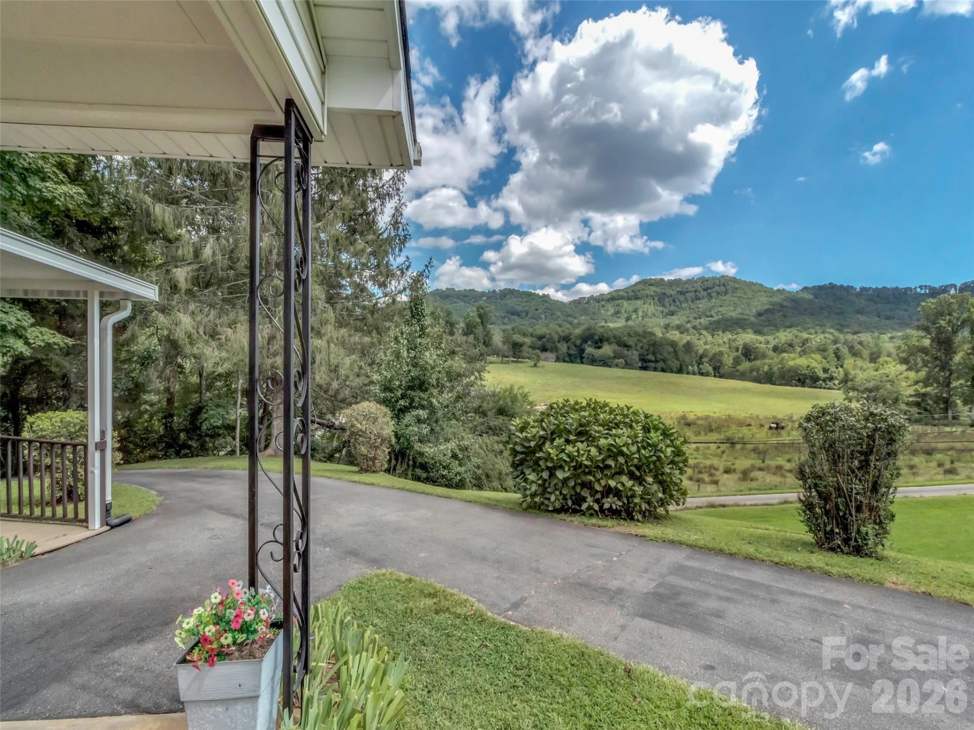 250 Reeves Cove Road - Photo 4