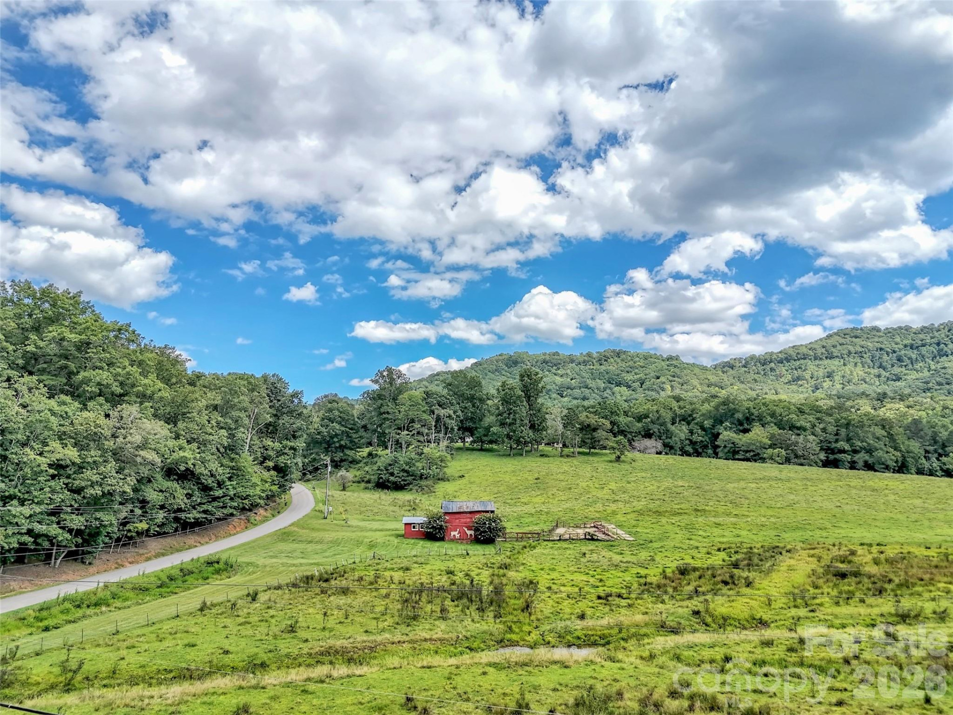 250 Reeves Cove Road - Photo 43