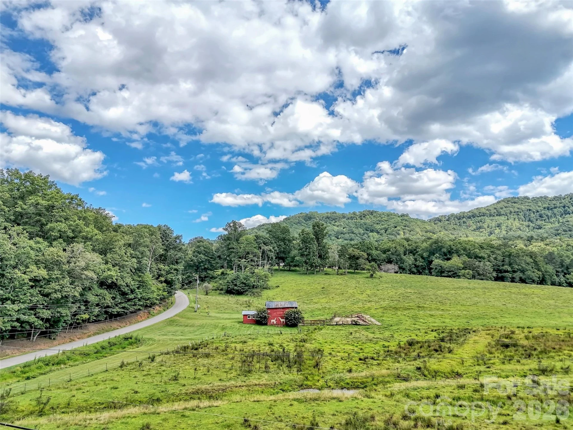 250 Reeves Cove Road - Photo 43