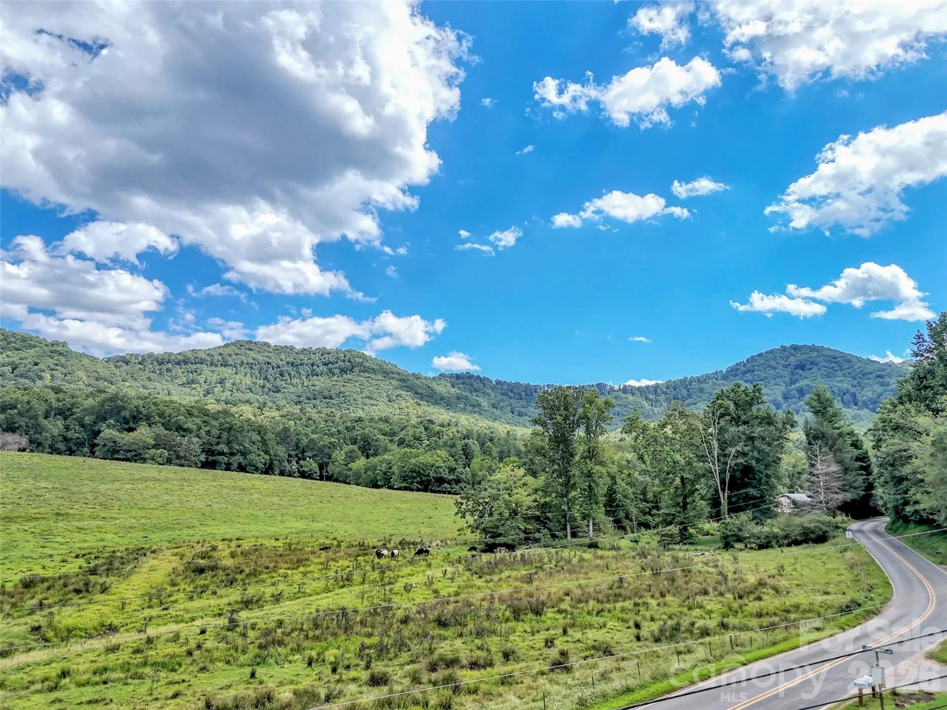 250 Reeves Cove Road - Photo 44