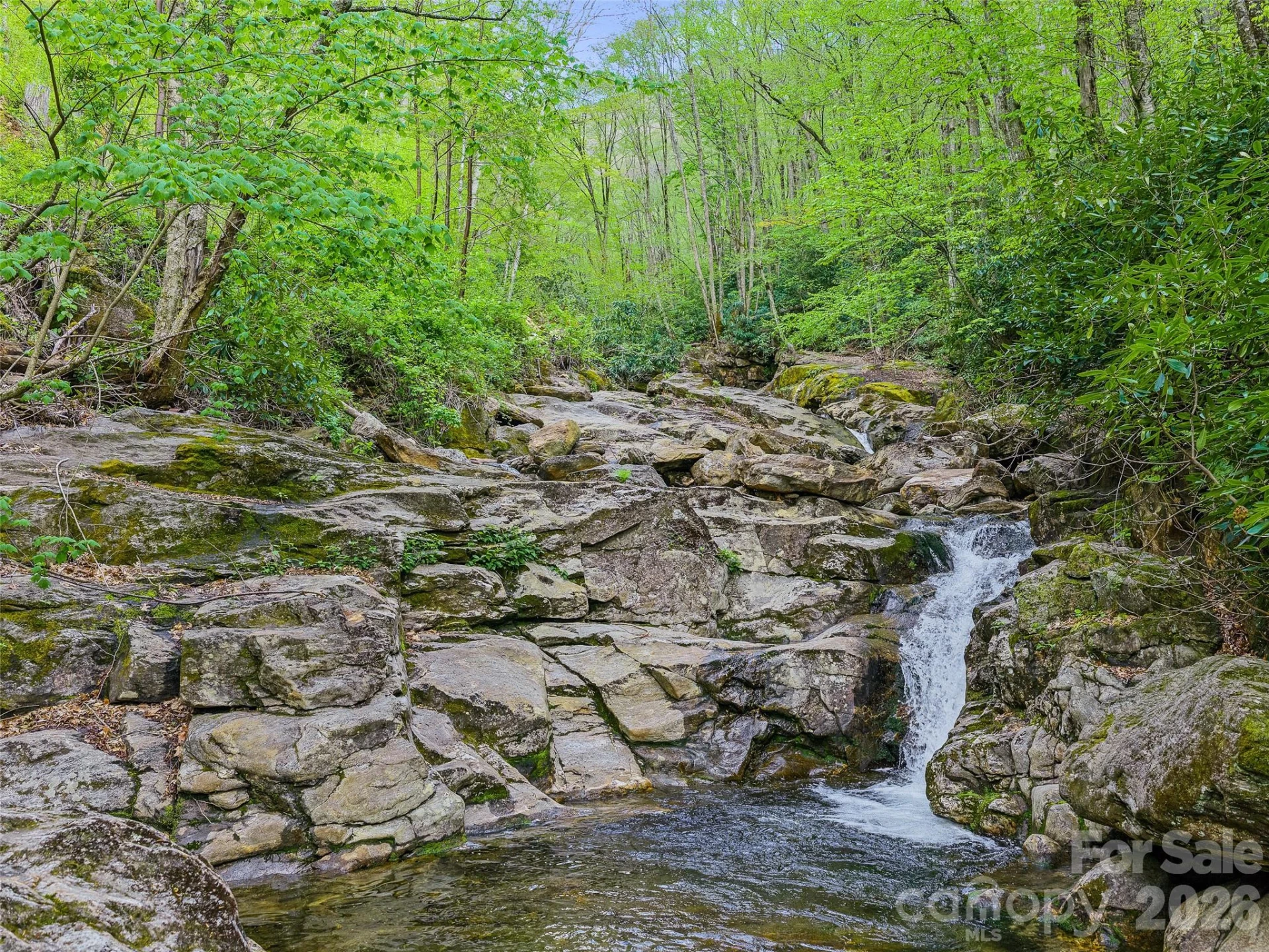 1161 Deep Gap Road