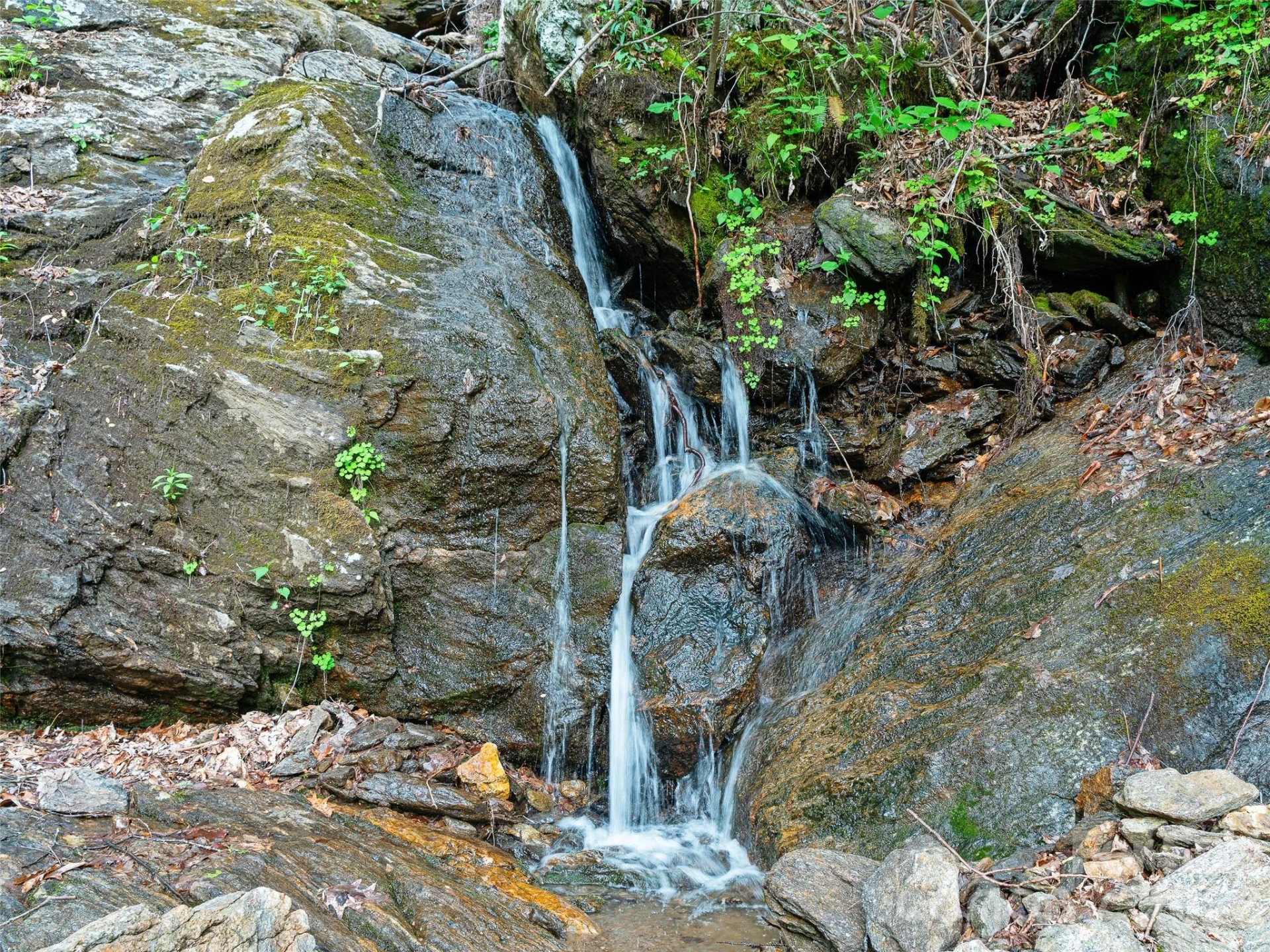 1161 Deep Gap Road - Photo 2