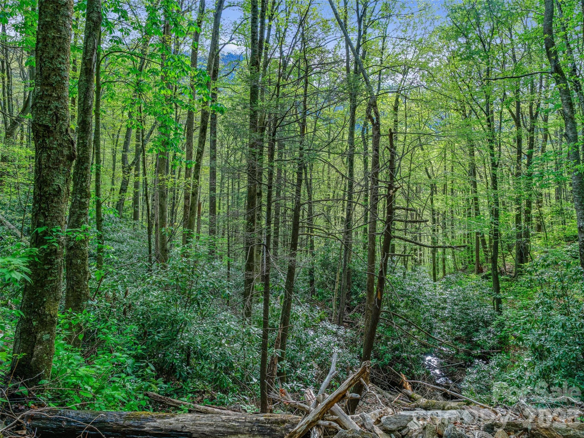 1161 Deep Gap Road - Photo 11