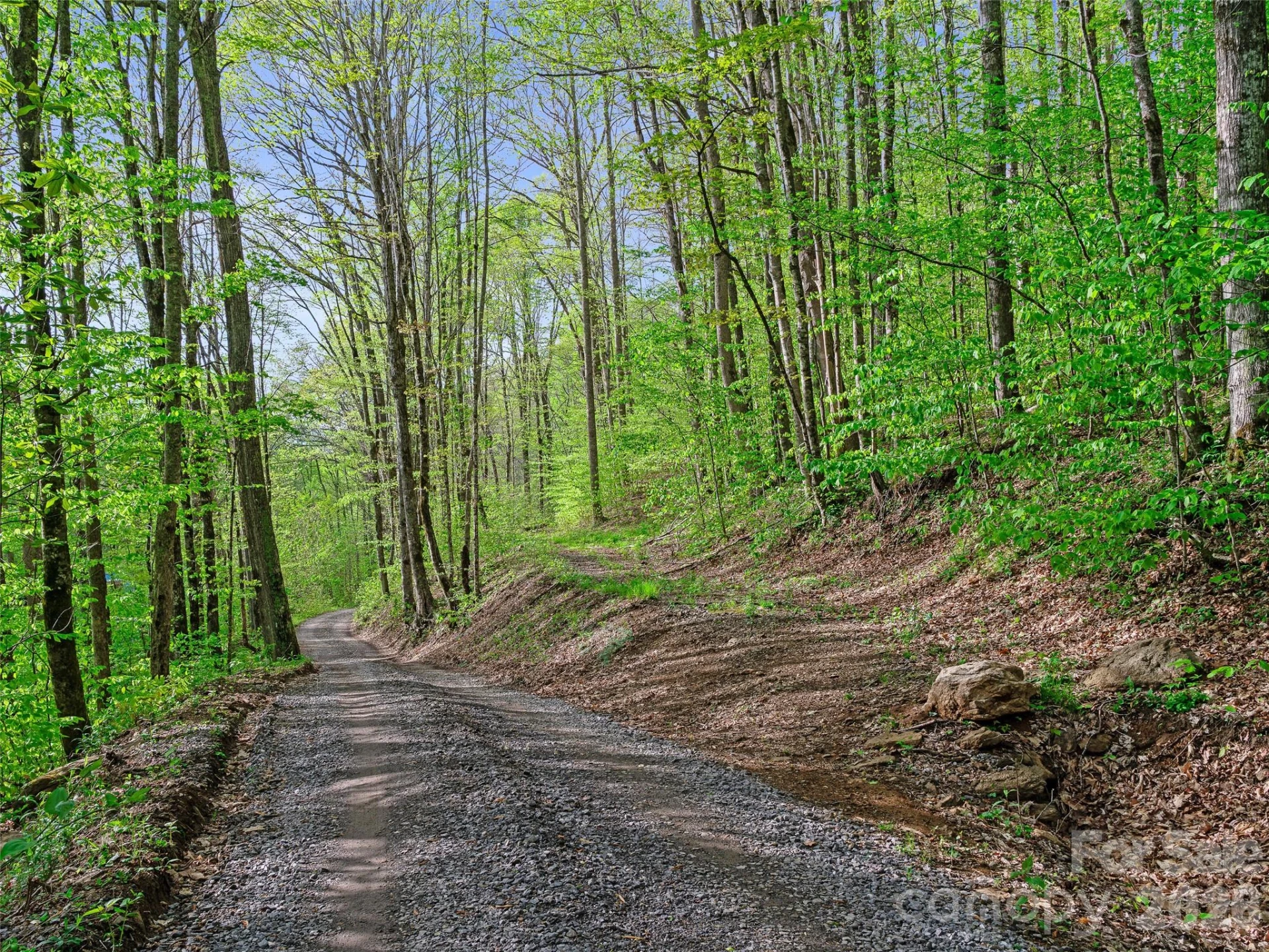 1161 Deep Gap Road - Photo 12